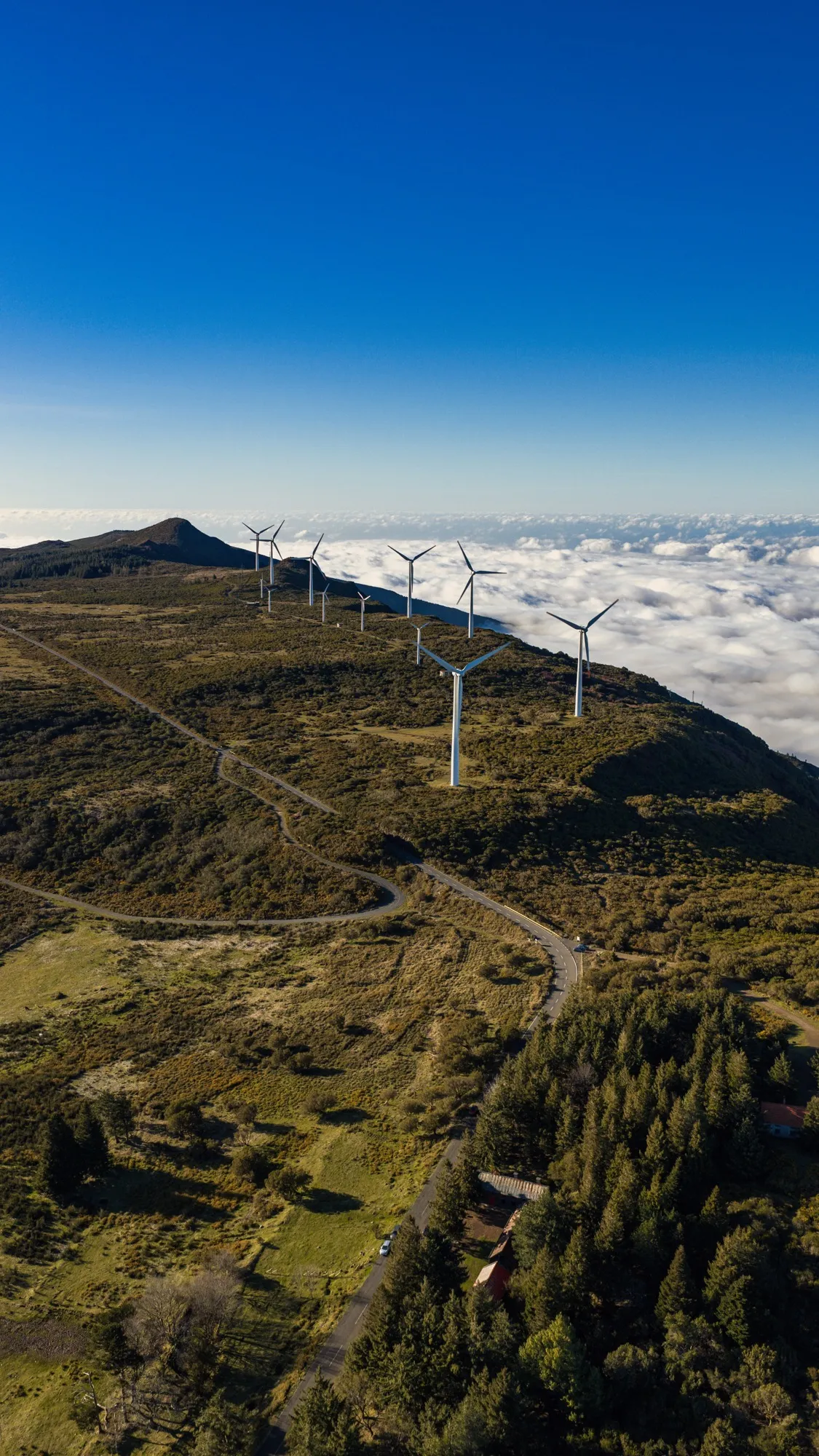 Aerial photograph — Madeira — Earthly