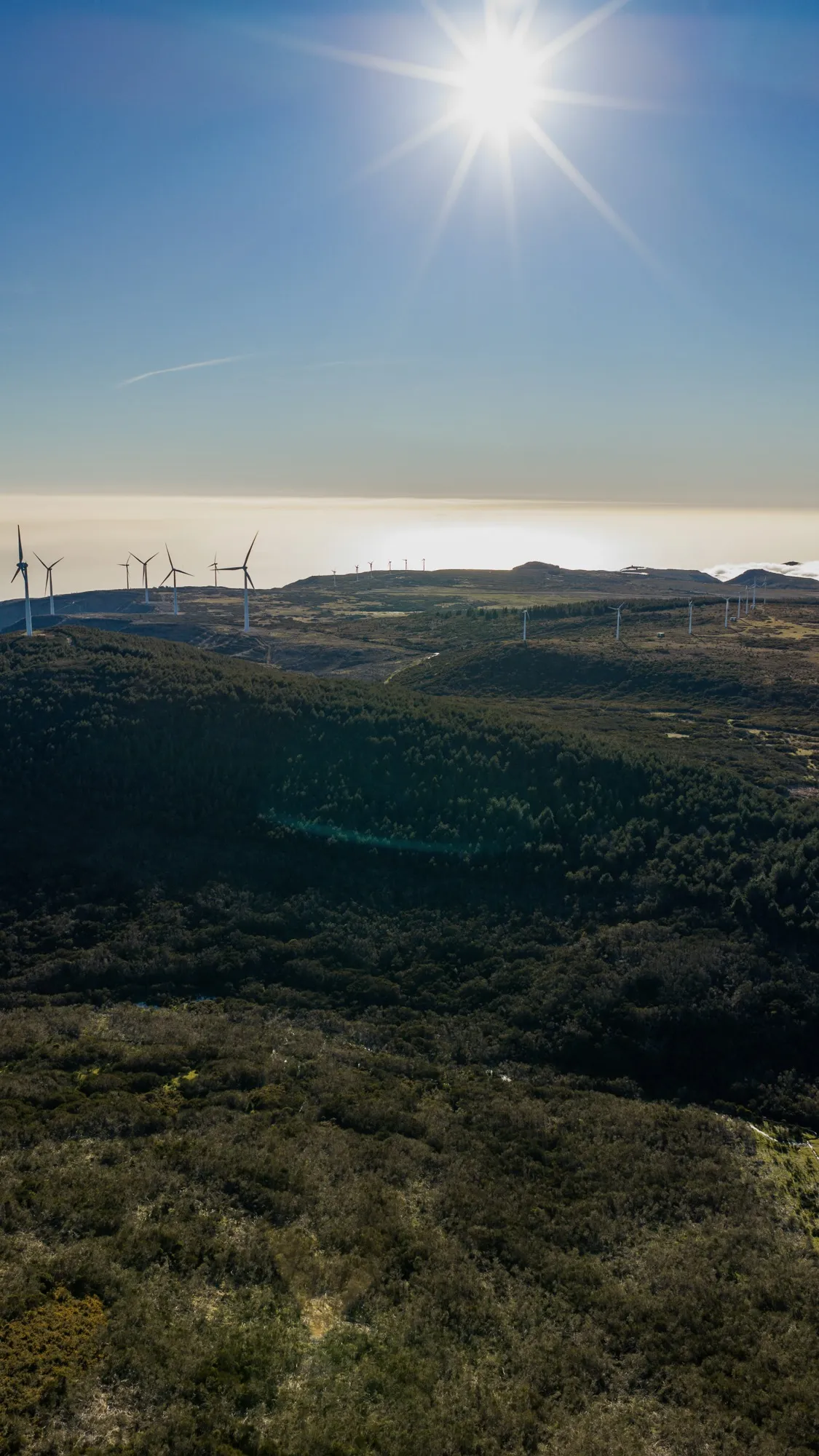 Aerial photograph — Madeira — Earthly
