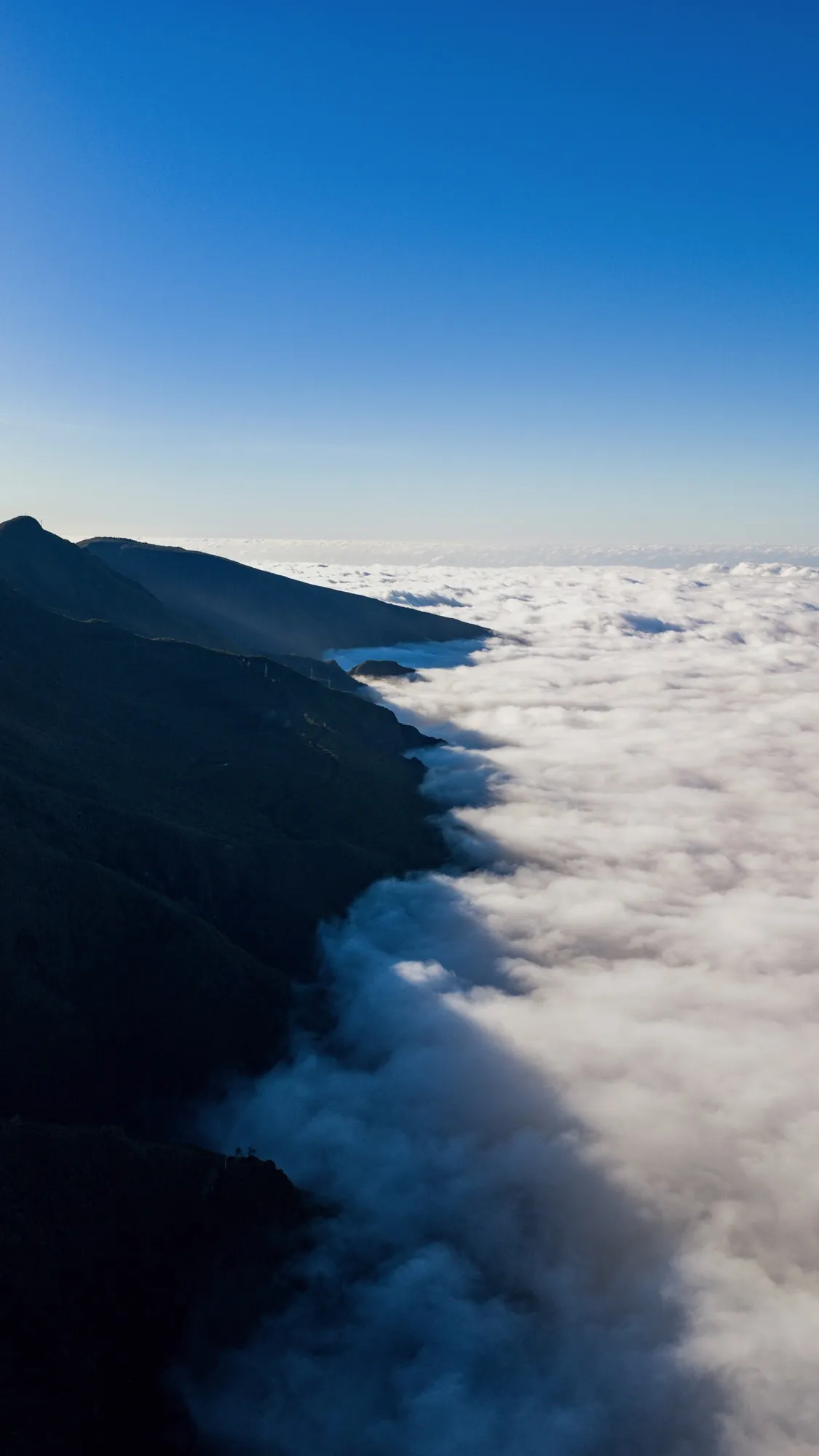 Aerial photograph — Madeira — Earthly