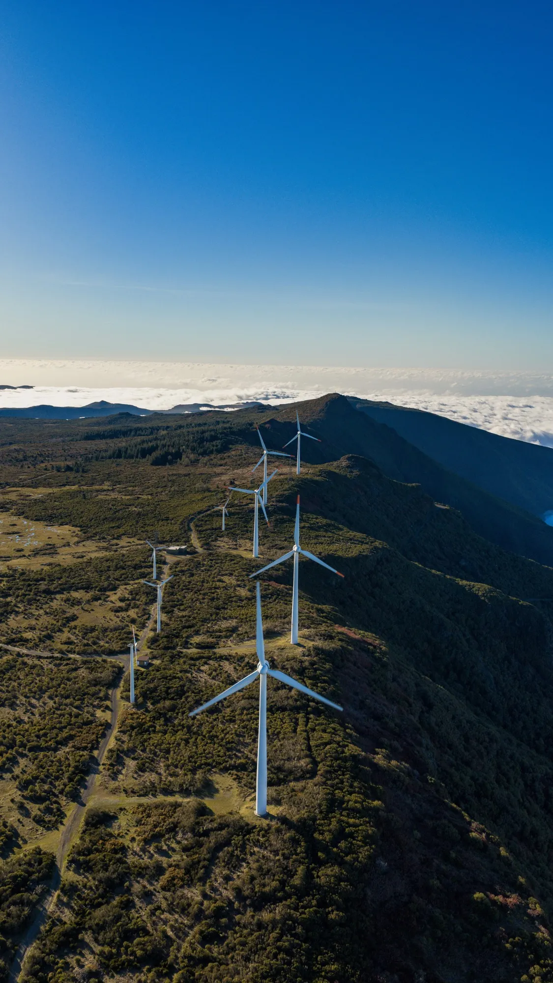 Aerial photograph — Madeira — Earthly