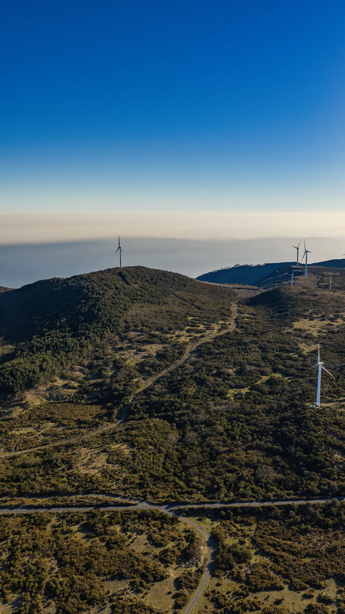 Aerial photograph — Madeira — Earthly