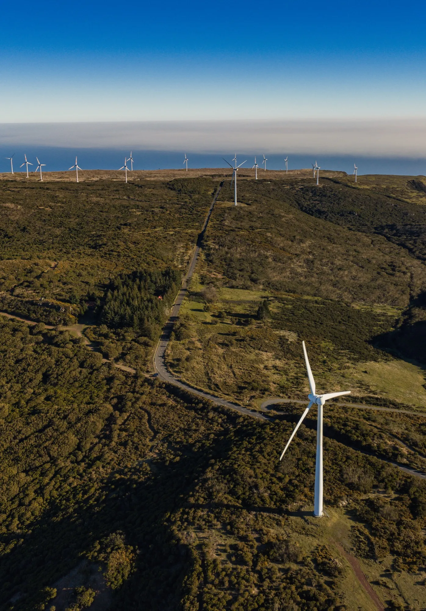 Aerial photograph — Madeira — Earthly