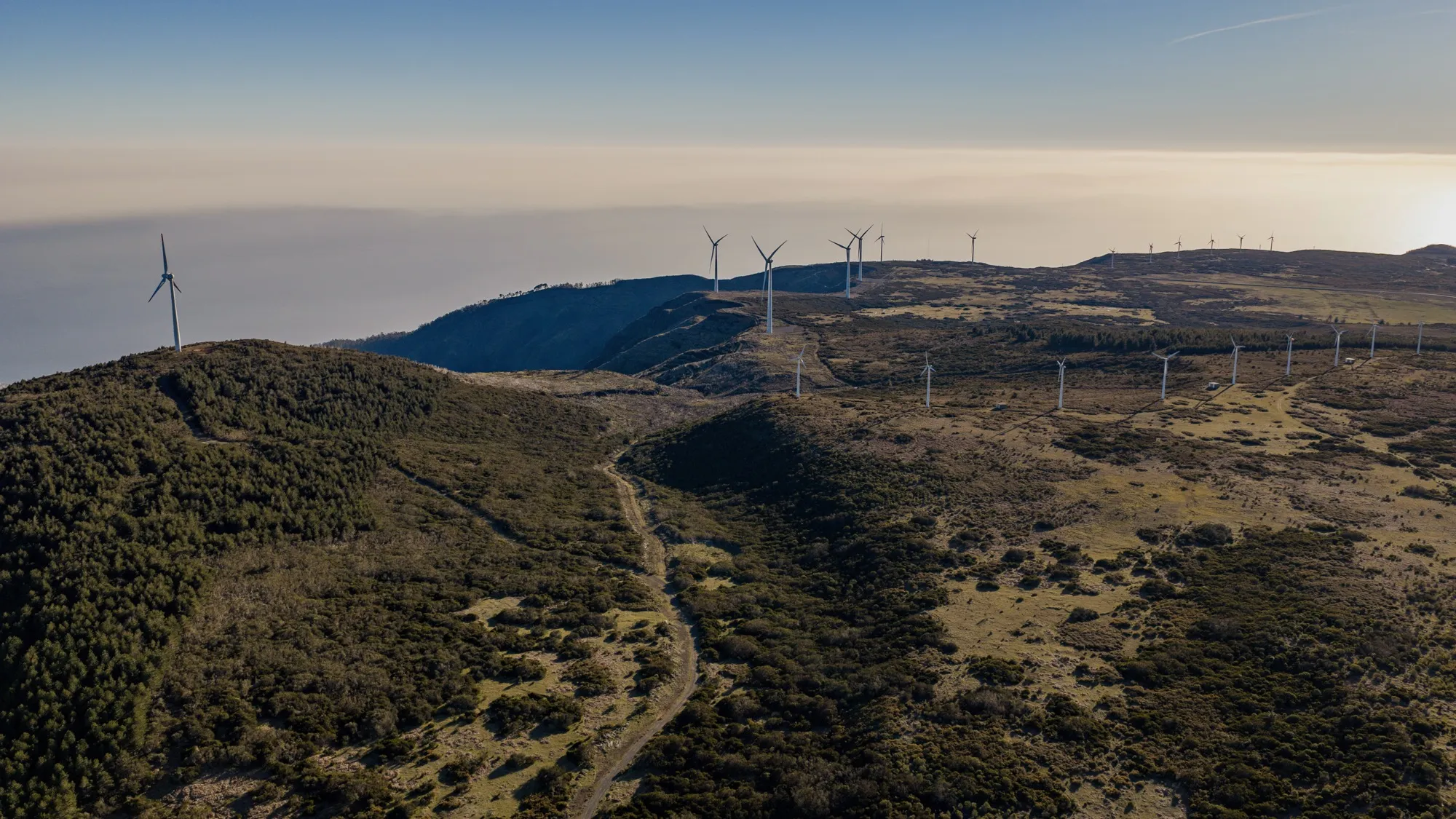 Aerial photograph — Madeira — Earthly