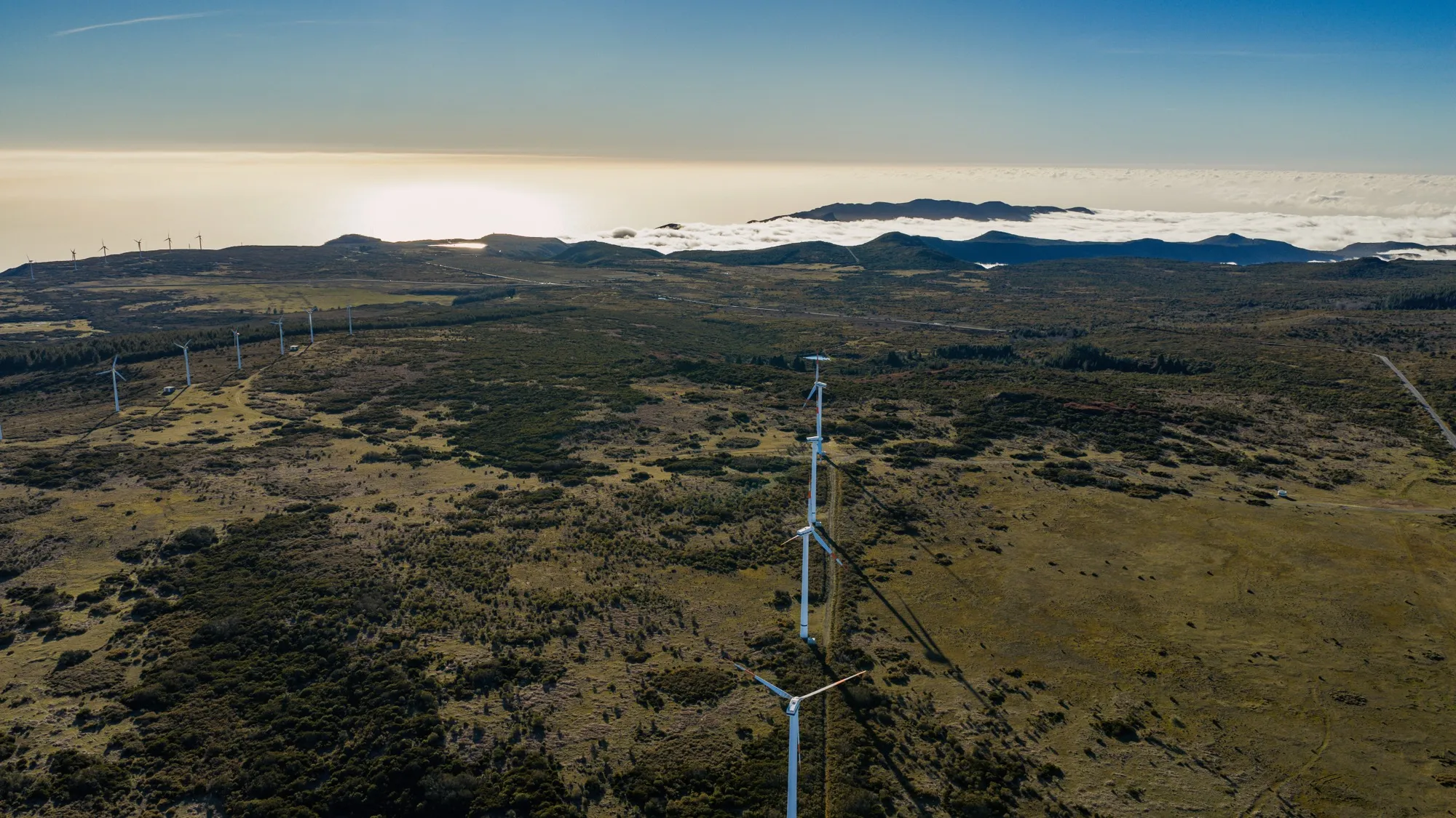 Aerial photograph — Madeira — Earthly