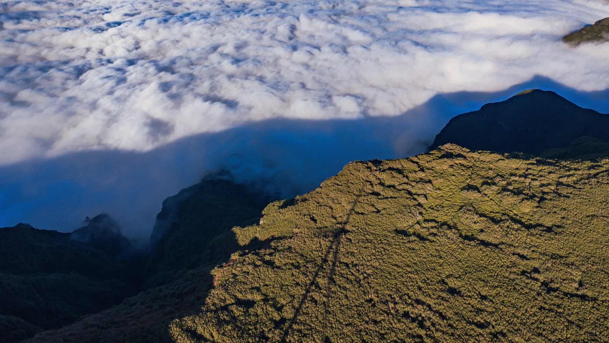 Aerial photograph — Madeira — Earthly
