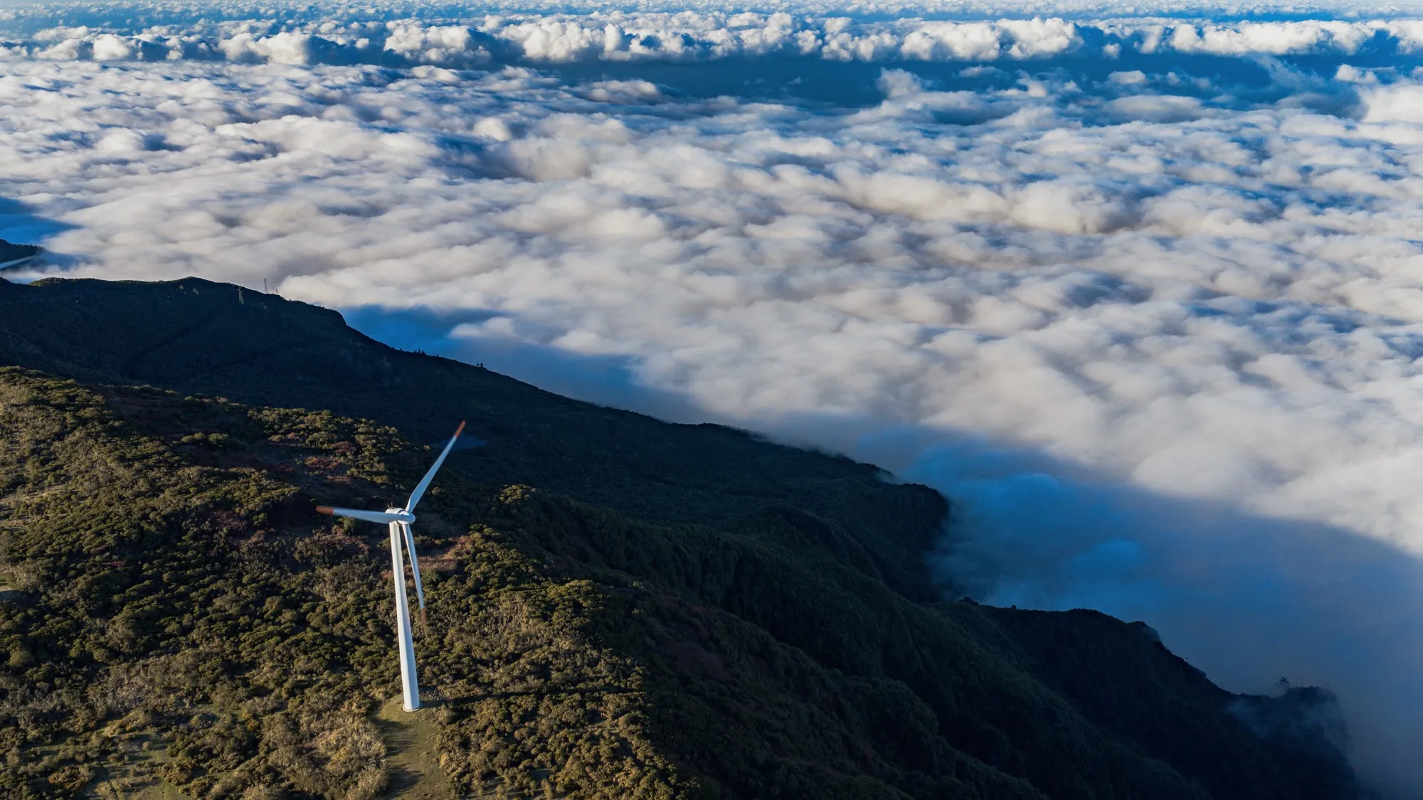 Aerial photograph — Madeira — Earthly