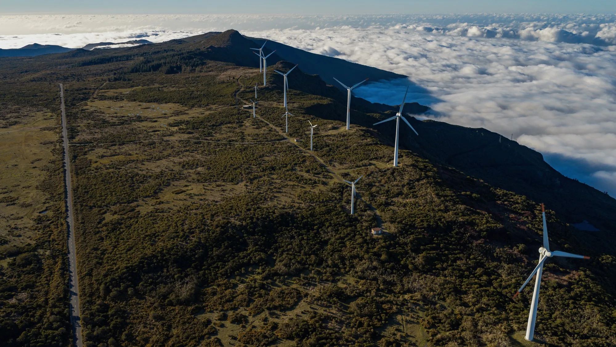 Aerial photograph — Madeira — Earthly