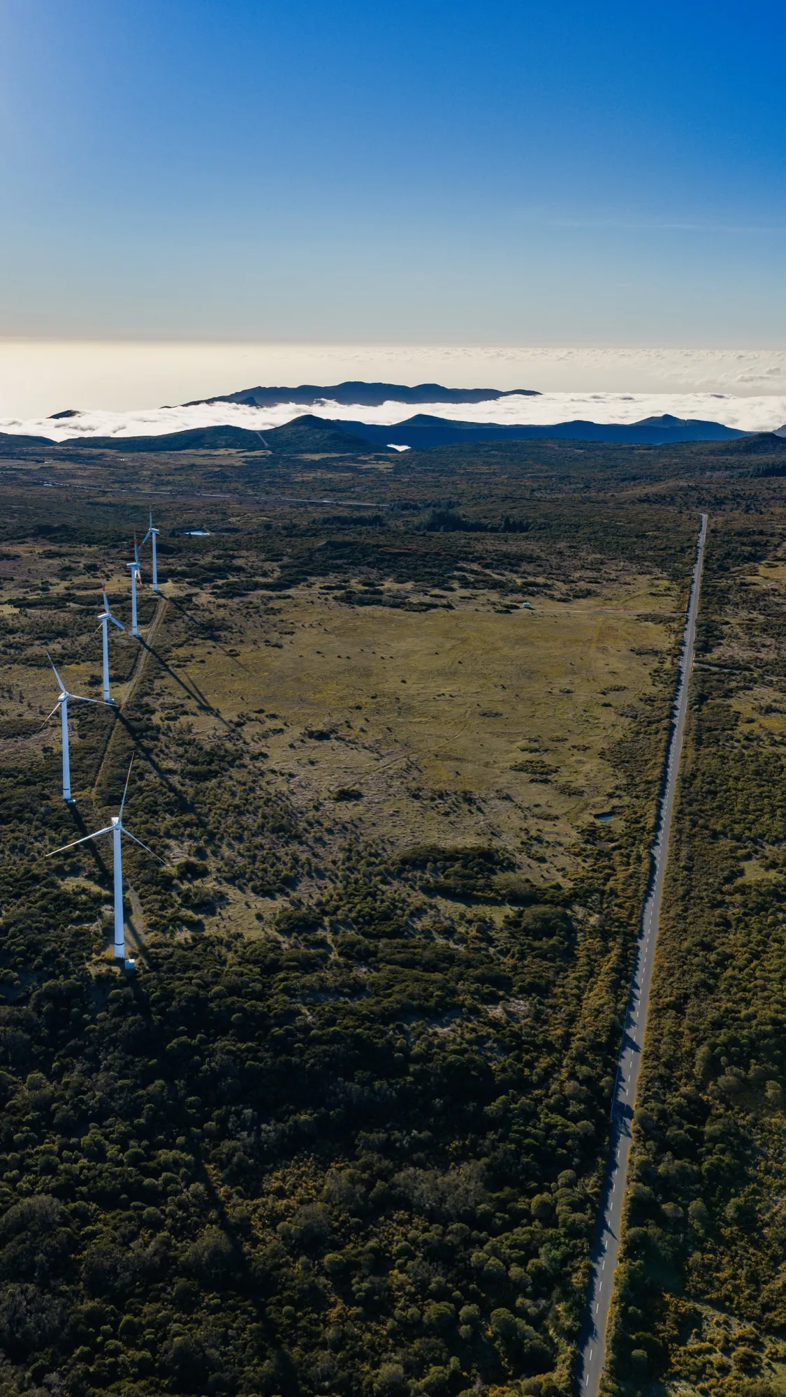 Aerial photograph — Madeira — Earthly