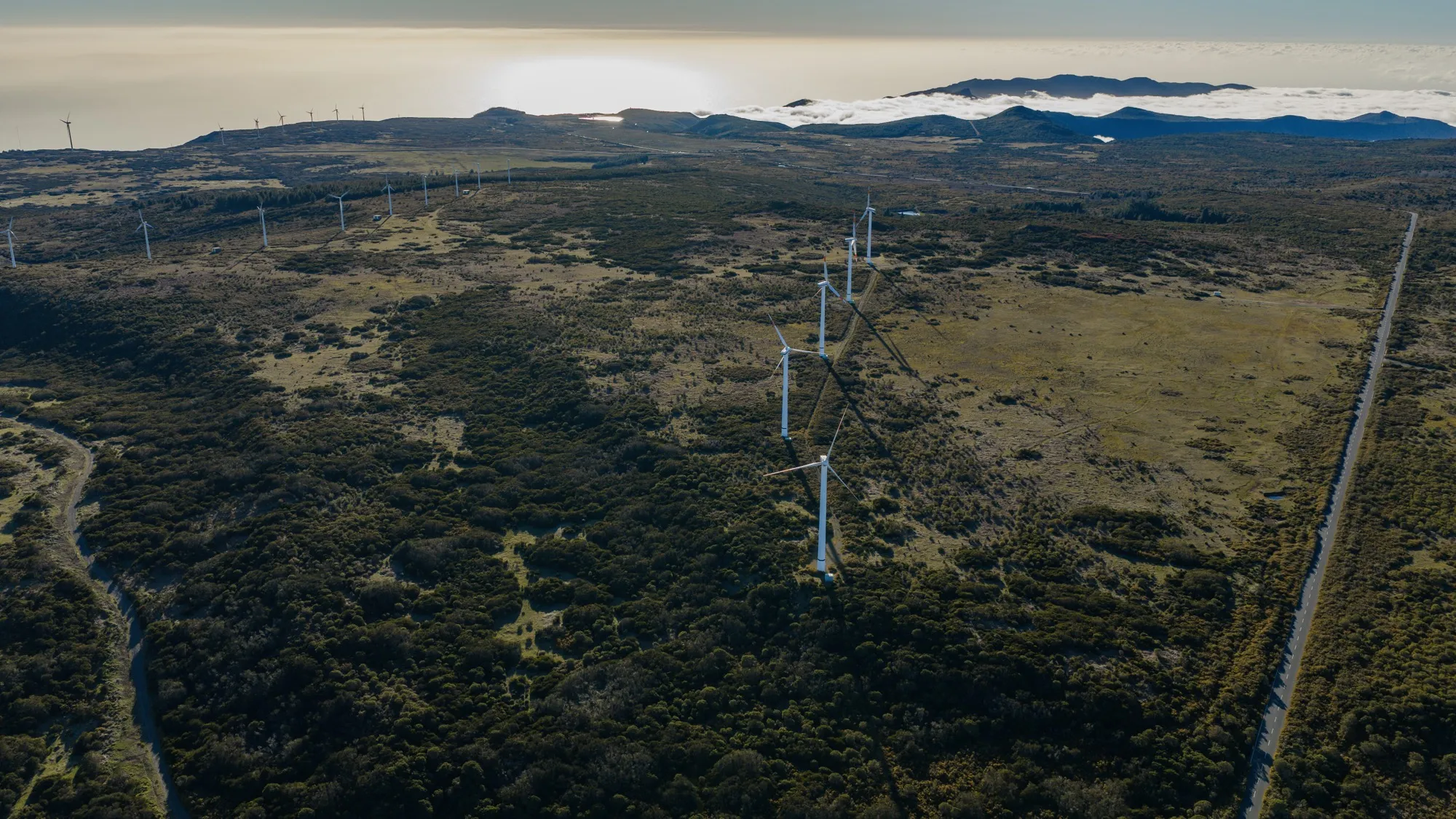 Aerial photograph — Madeira — Earthly