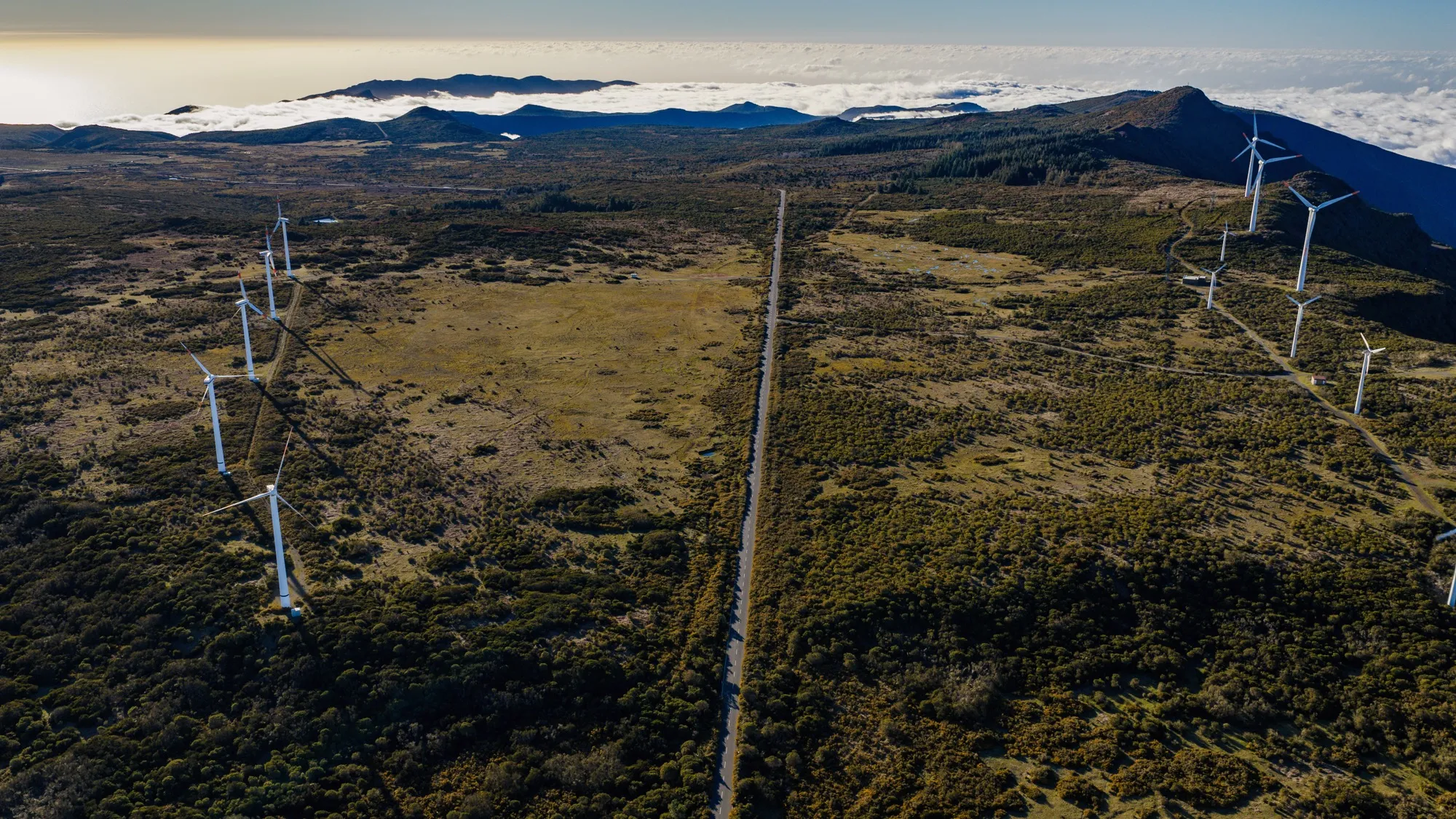 Aerial photograph — Madeira — Earthly