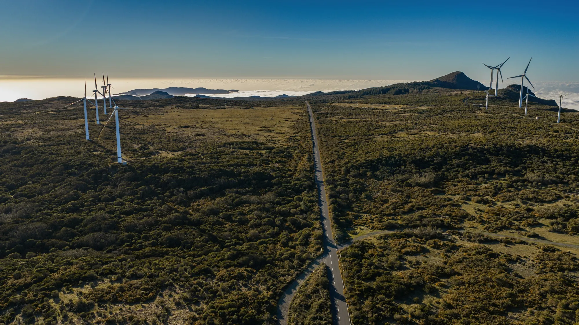 Aerial photograph — Madeira — Earthly