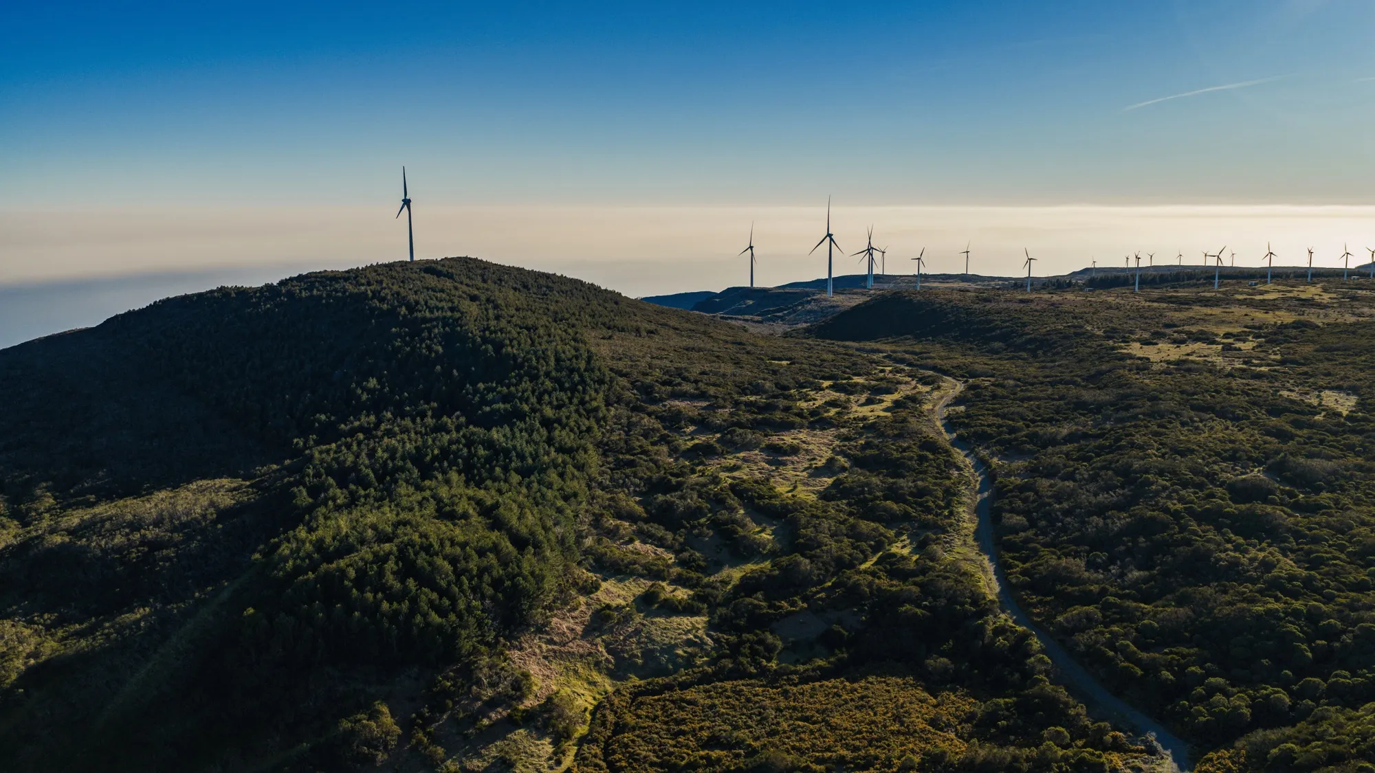 Aerial photograph — Madeira — Earthly