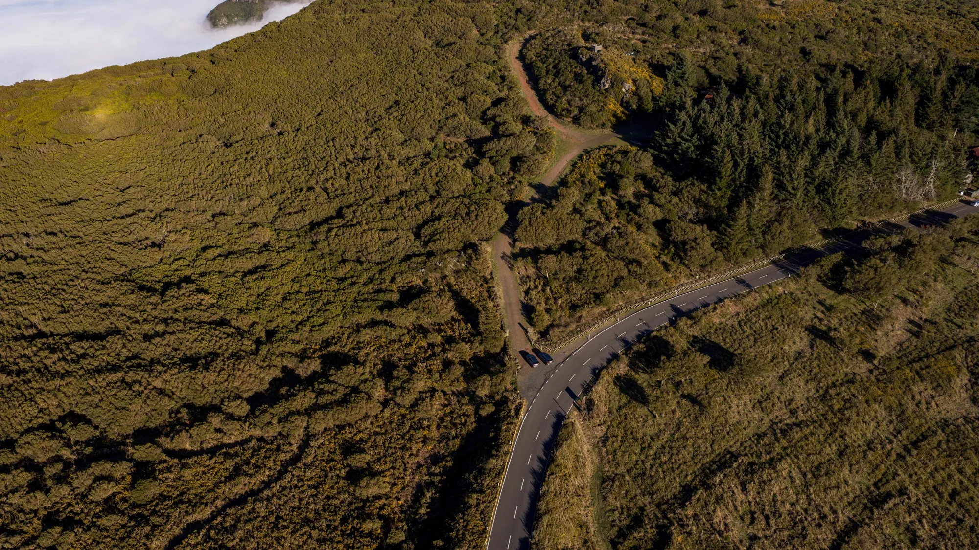 Aerial photograph — Madeira — Earthly