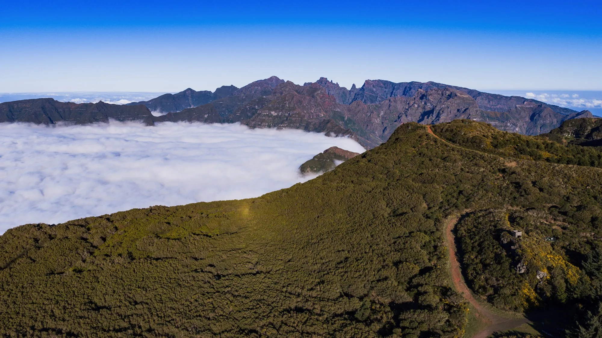 Aerial photograph — Madeira — Earthly