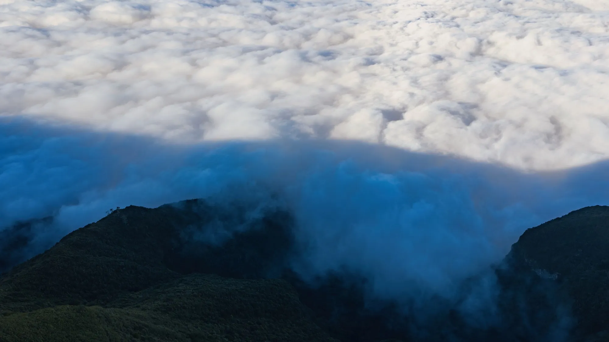 Aerial photograph — Madeira — Earthly