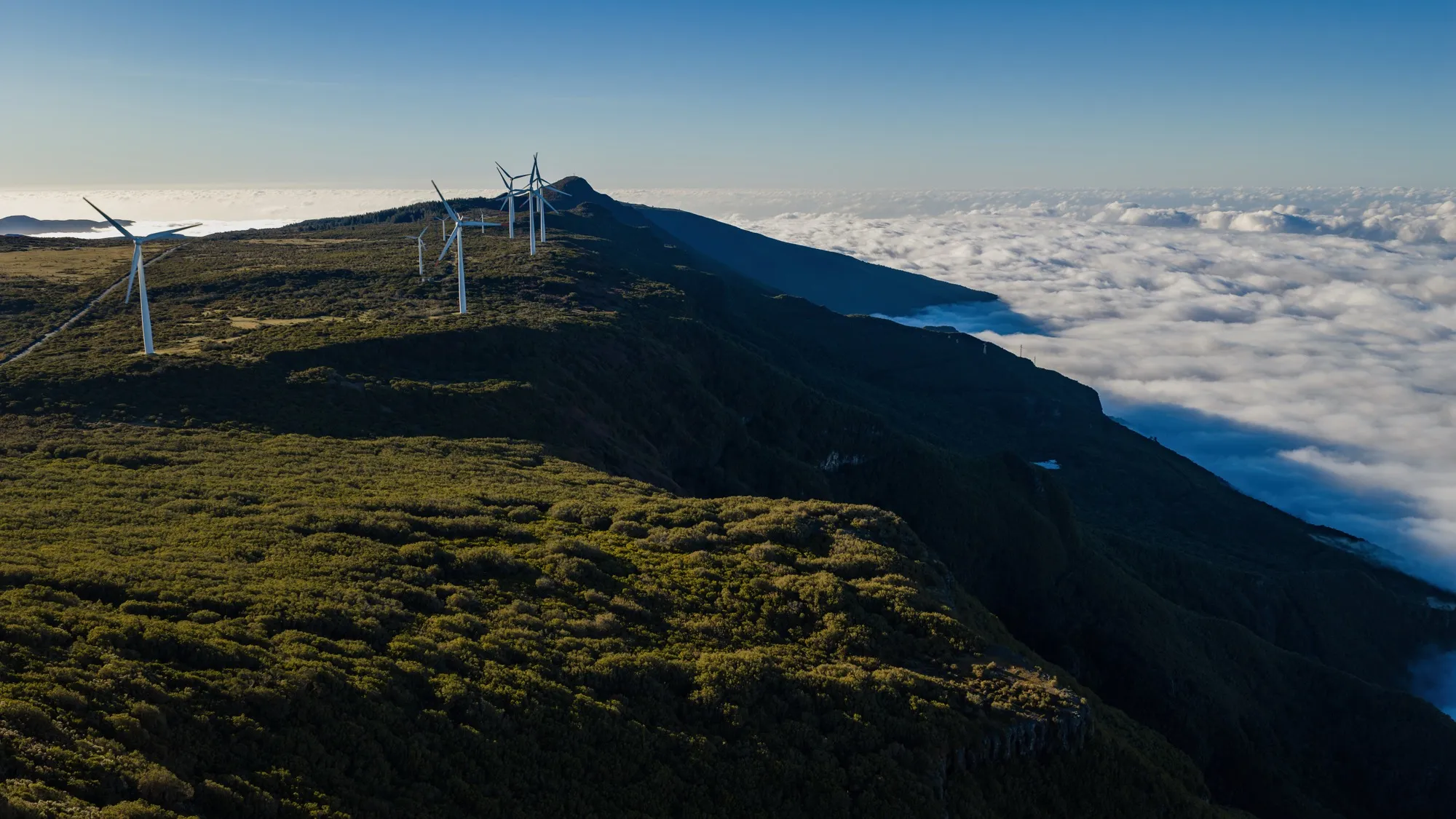 Aerial photograph — Madeira — Earthly