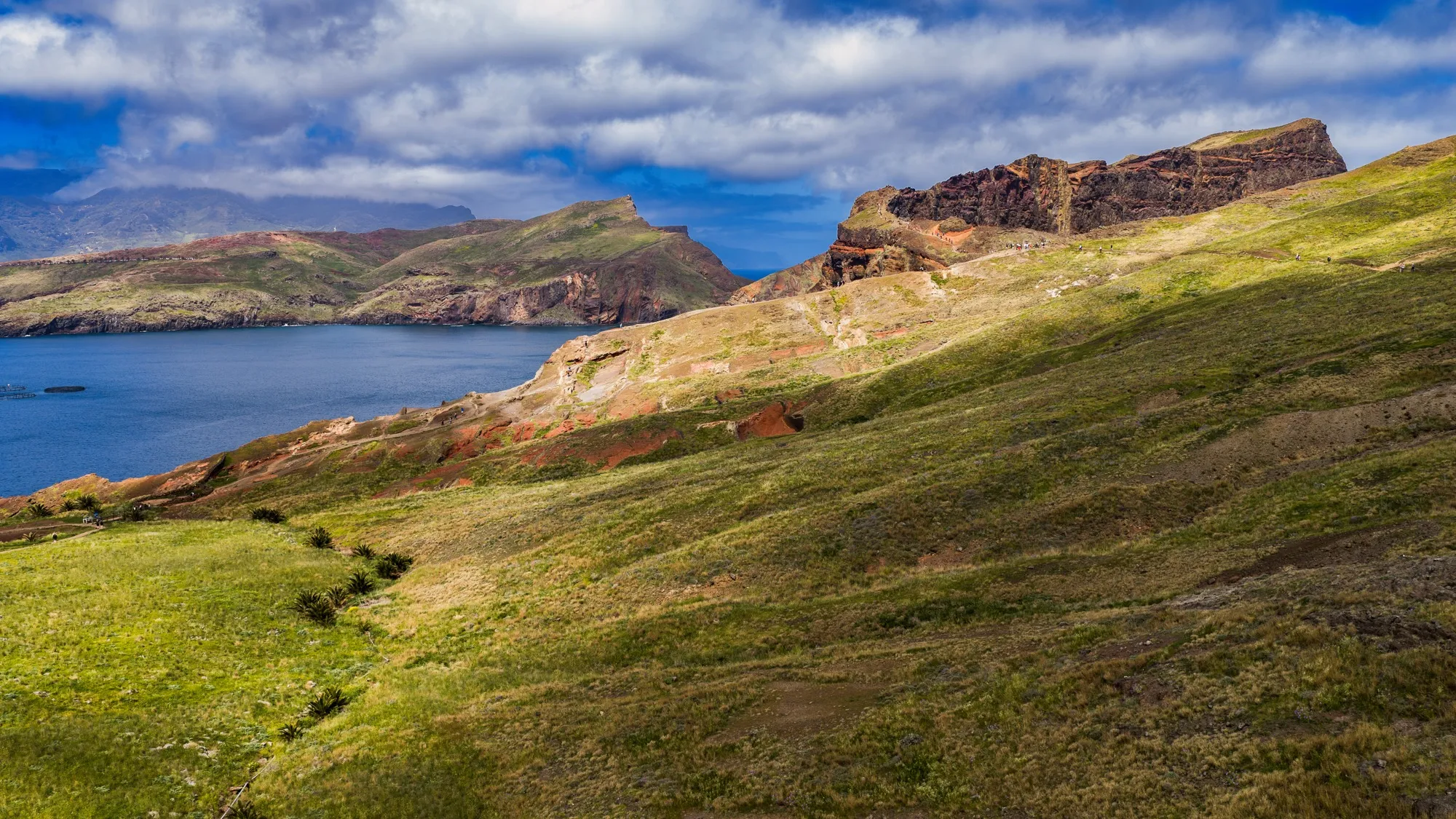 Aerial photograph — Madeira — Earthly