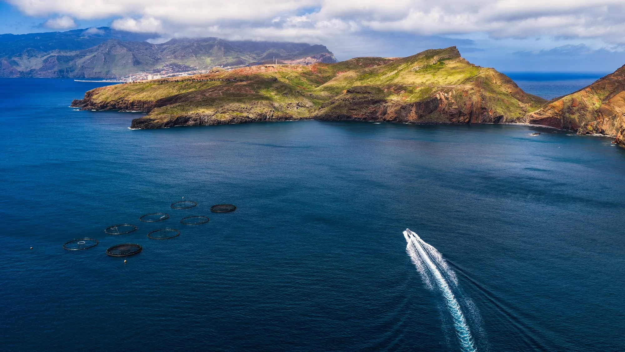 Aerial photograph — Madeira — Earthly