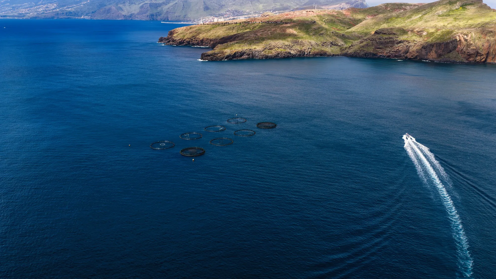 Aerial photograph — Madeira — Earthly