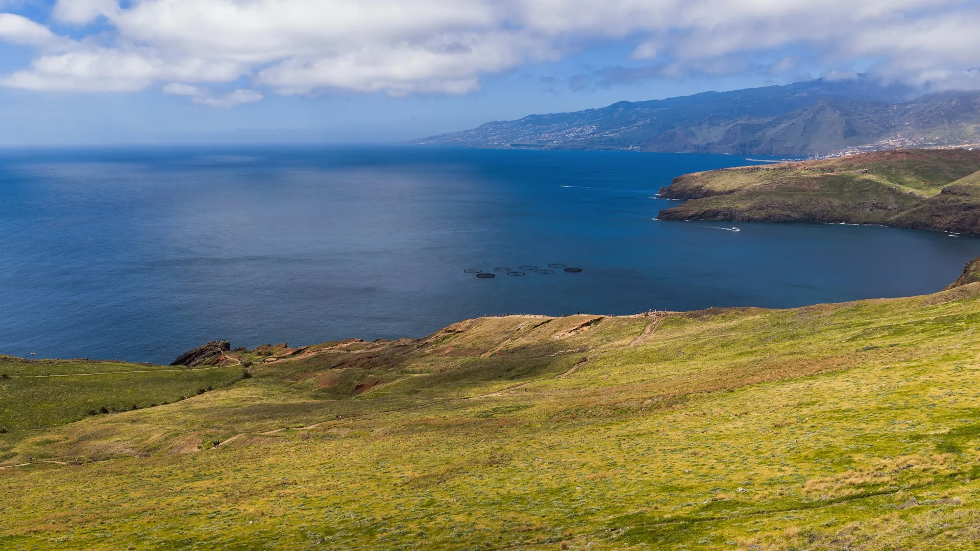 Aerial photograph — Madeira — Earthly