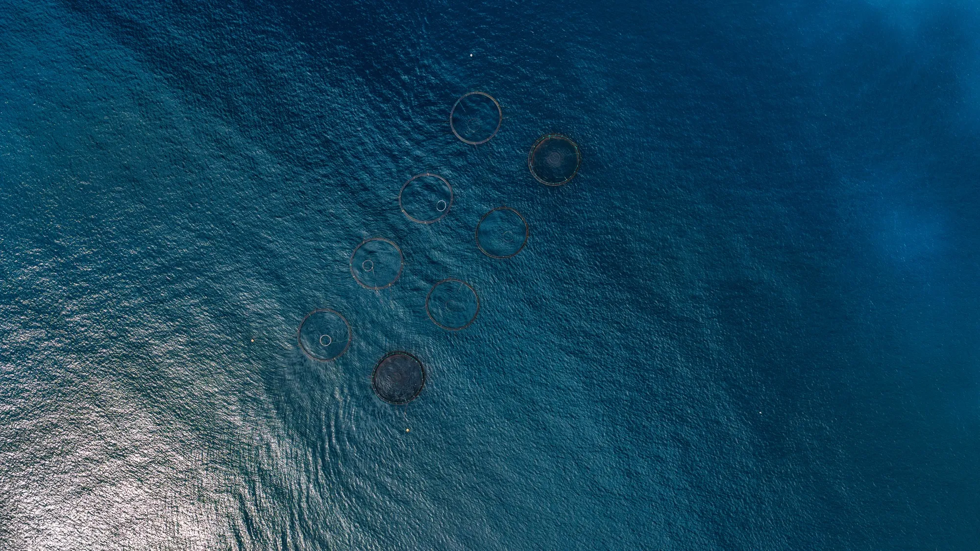 Aerial photograph — Madeira — Earthly