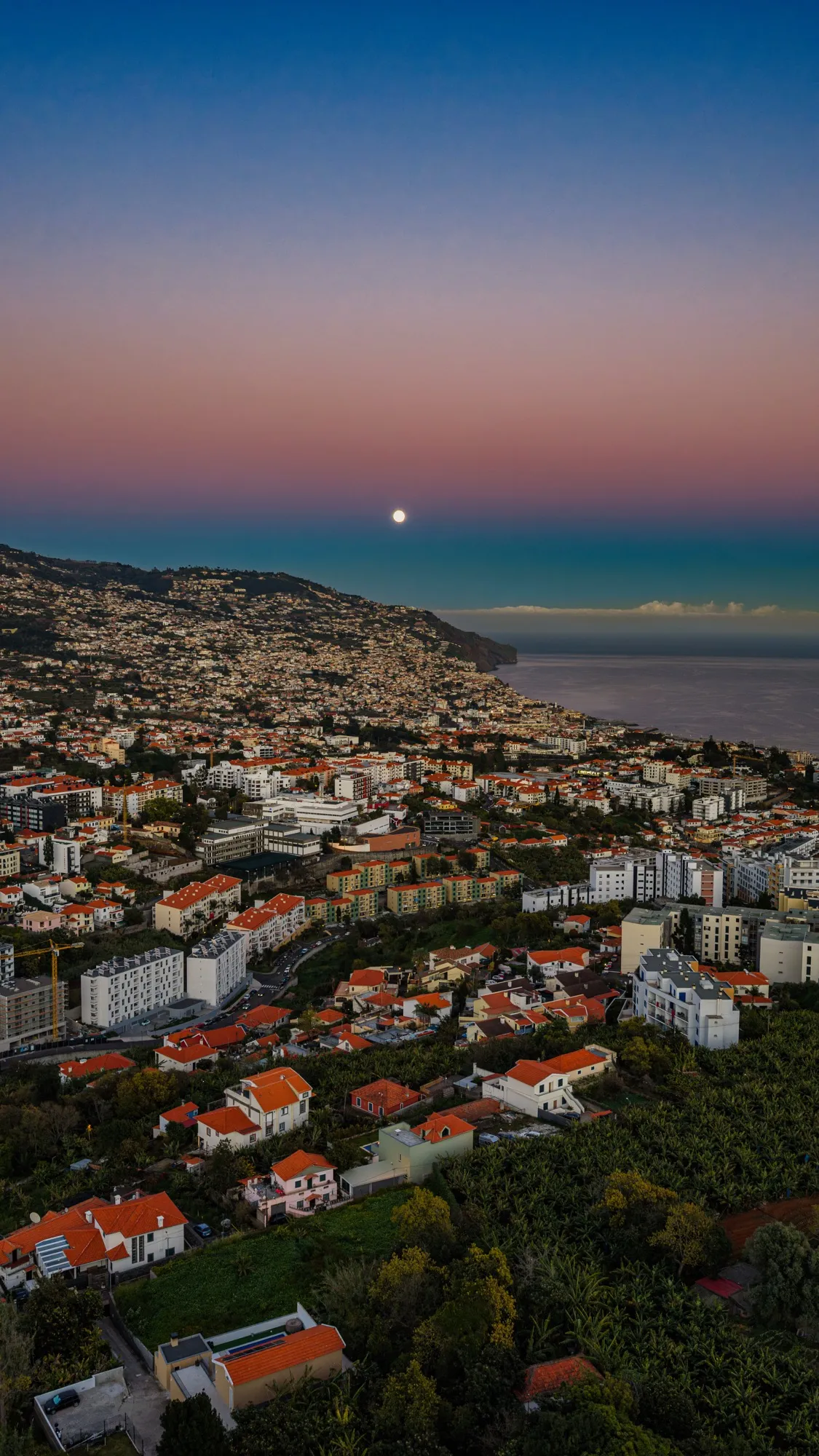 Aerial photograph — Madeira — Earthly
