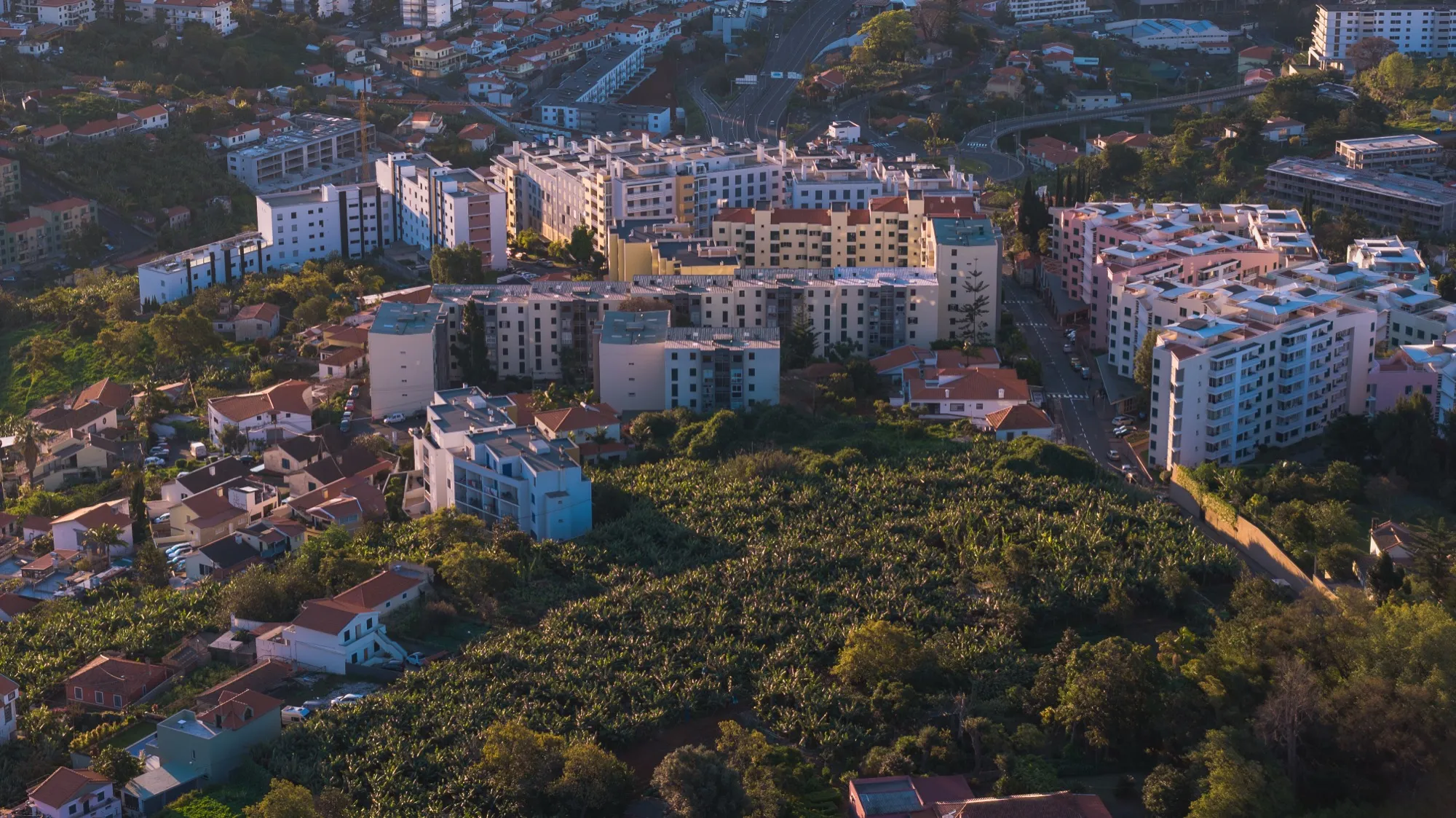 Aerial photograph — Madeira — Earthly