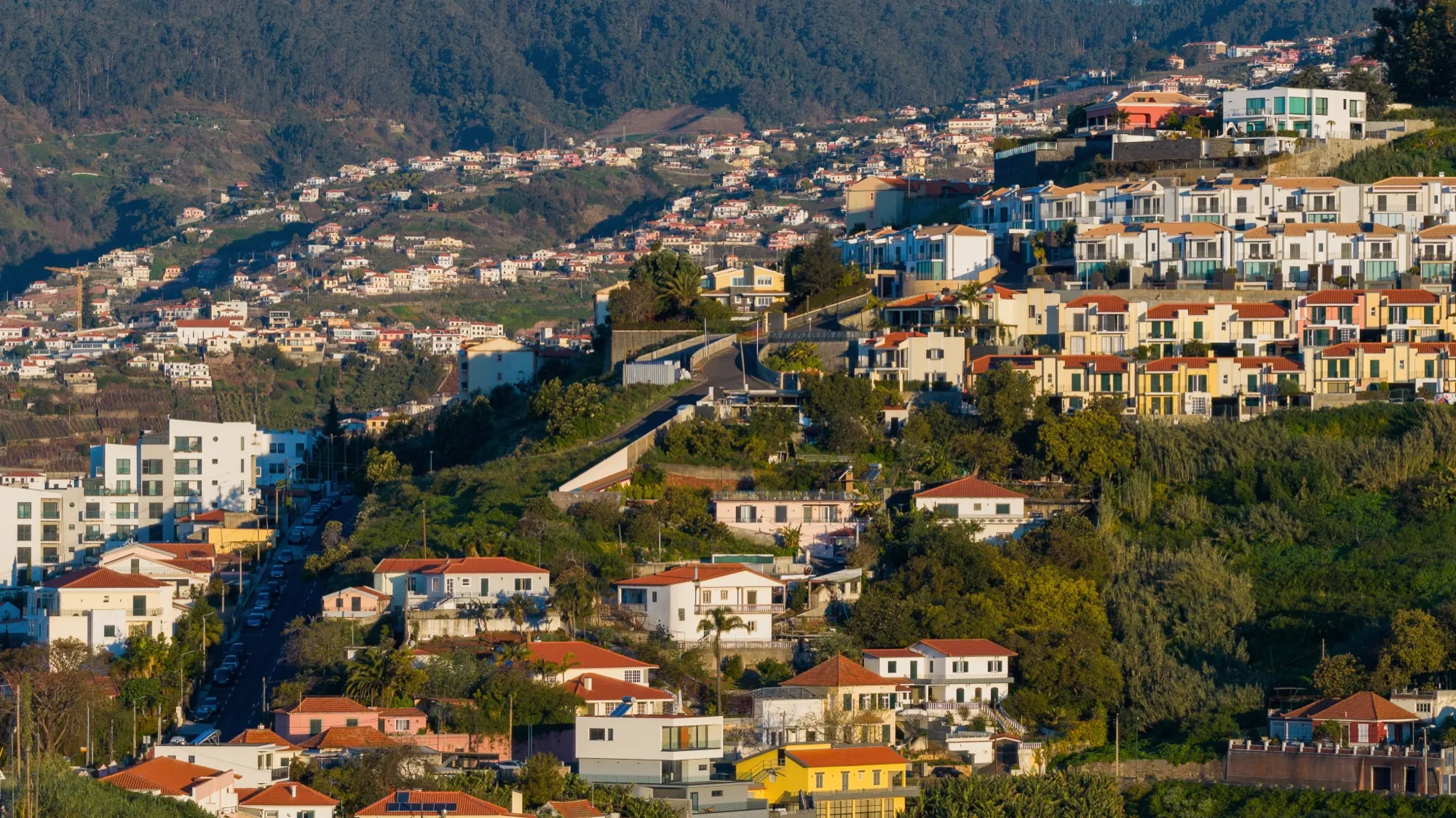 Aerial photograph — Madeira — Earthly
