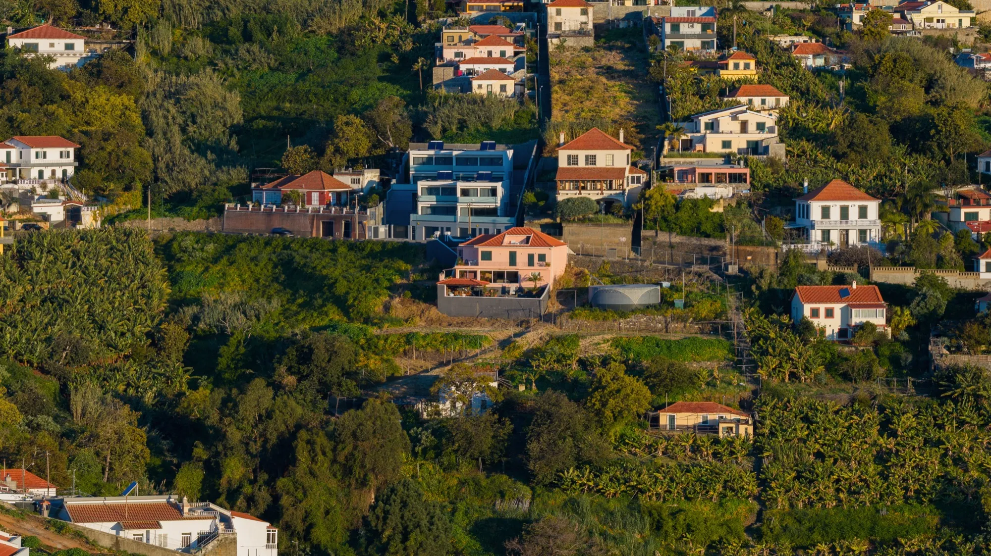 Aerial photograph — Madeira — Earthly
