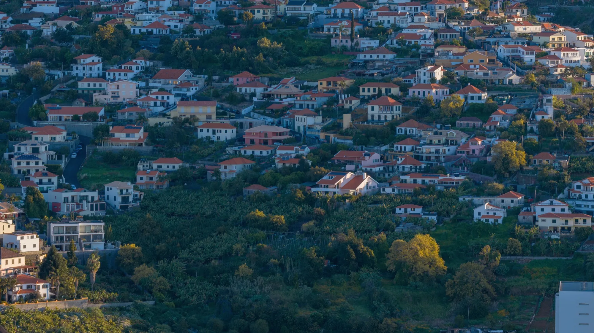 Aerial photograph — Madeira — Earthly