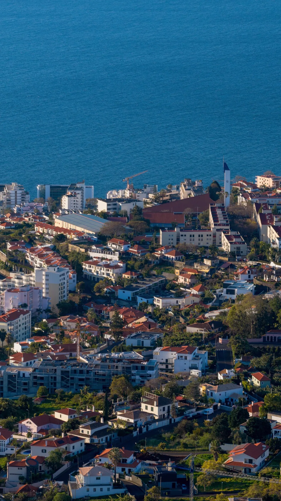Aerial photograph — Madeira — Earthly