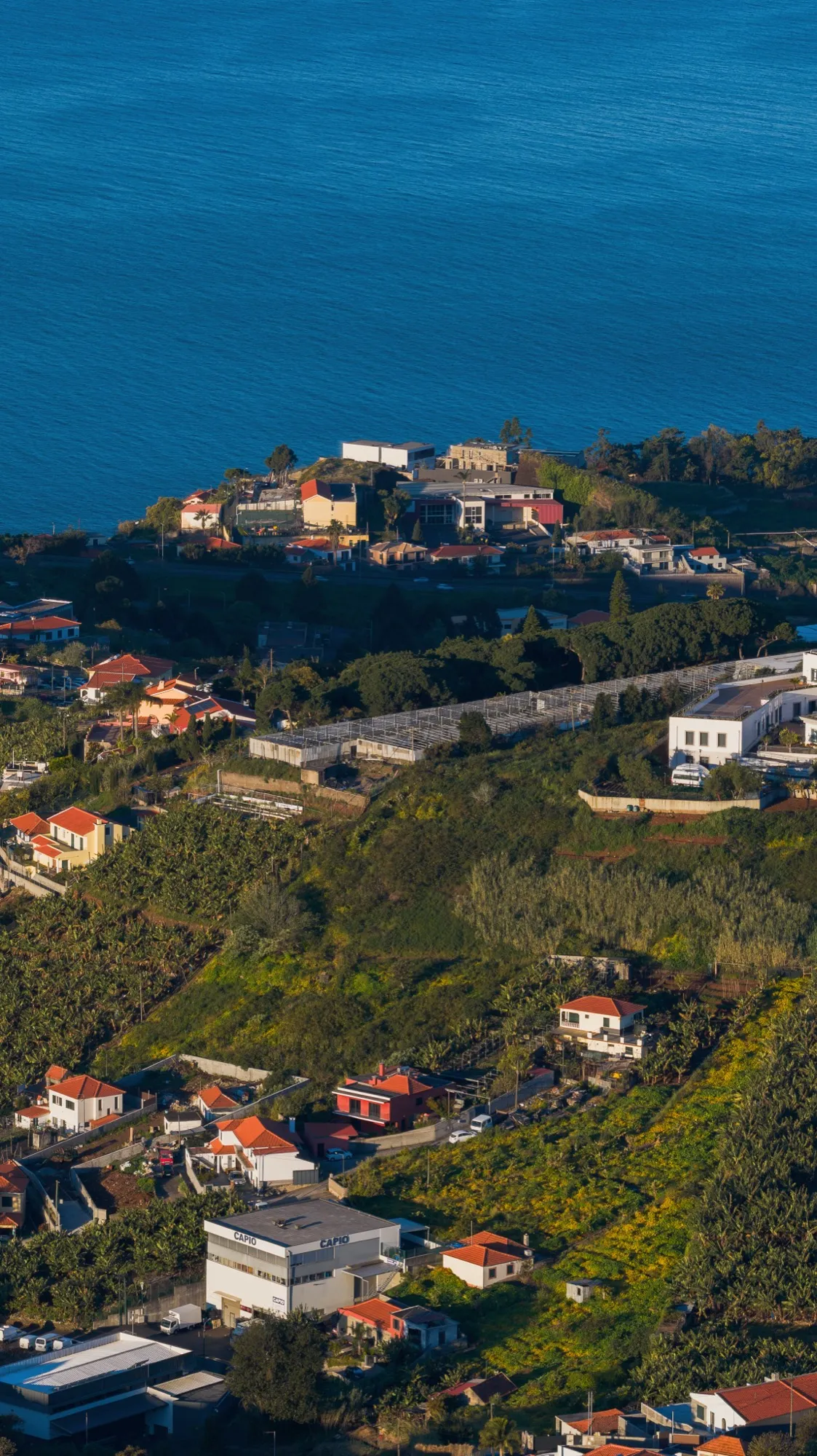 Aerial photograph — Madeira — Earthly