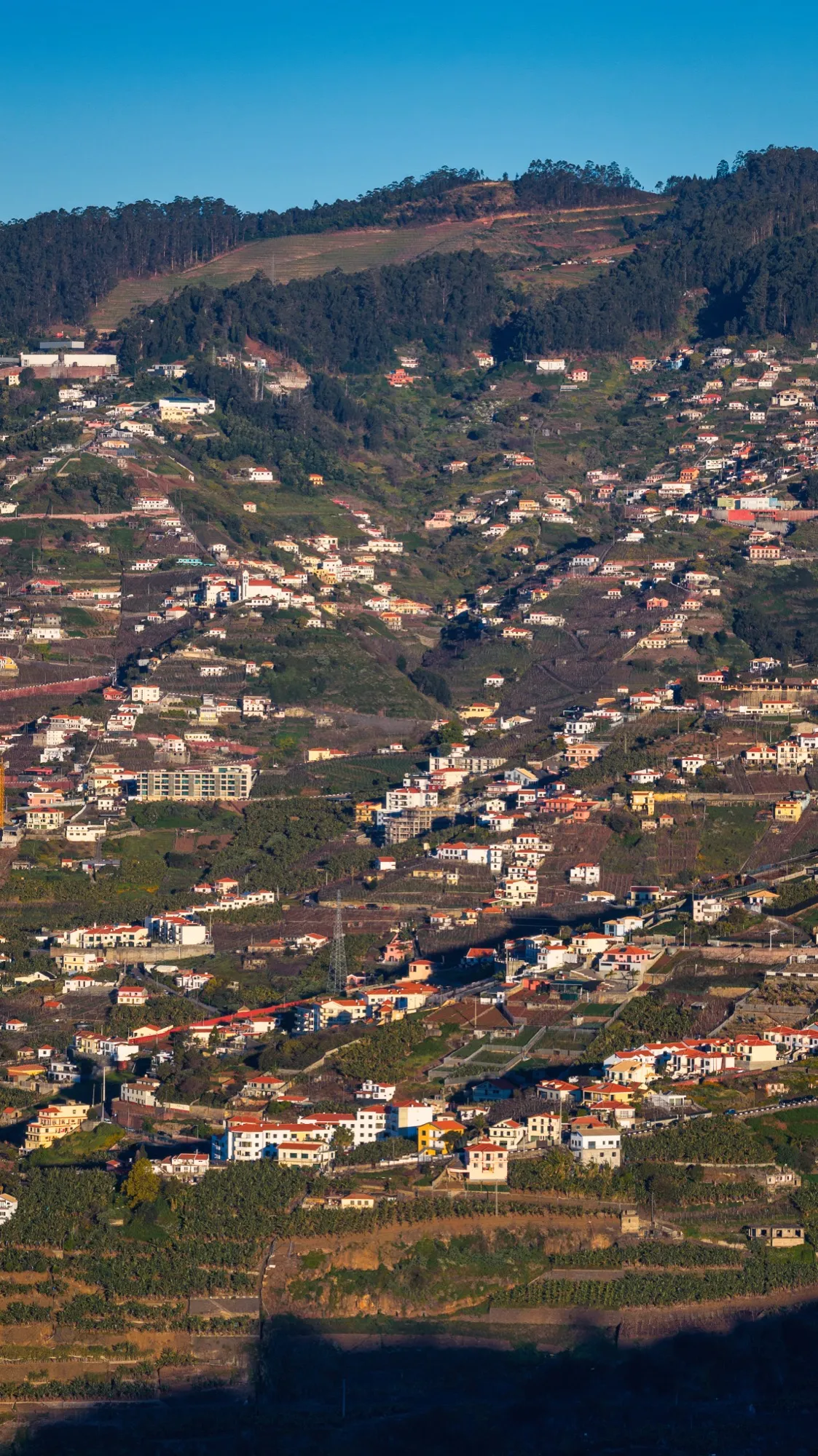 Aerial photograph — Madeira — Earthly