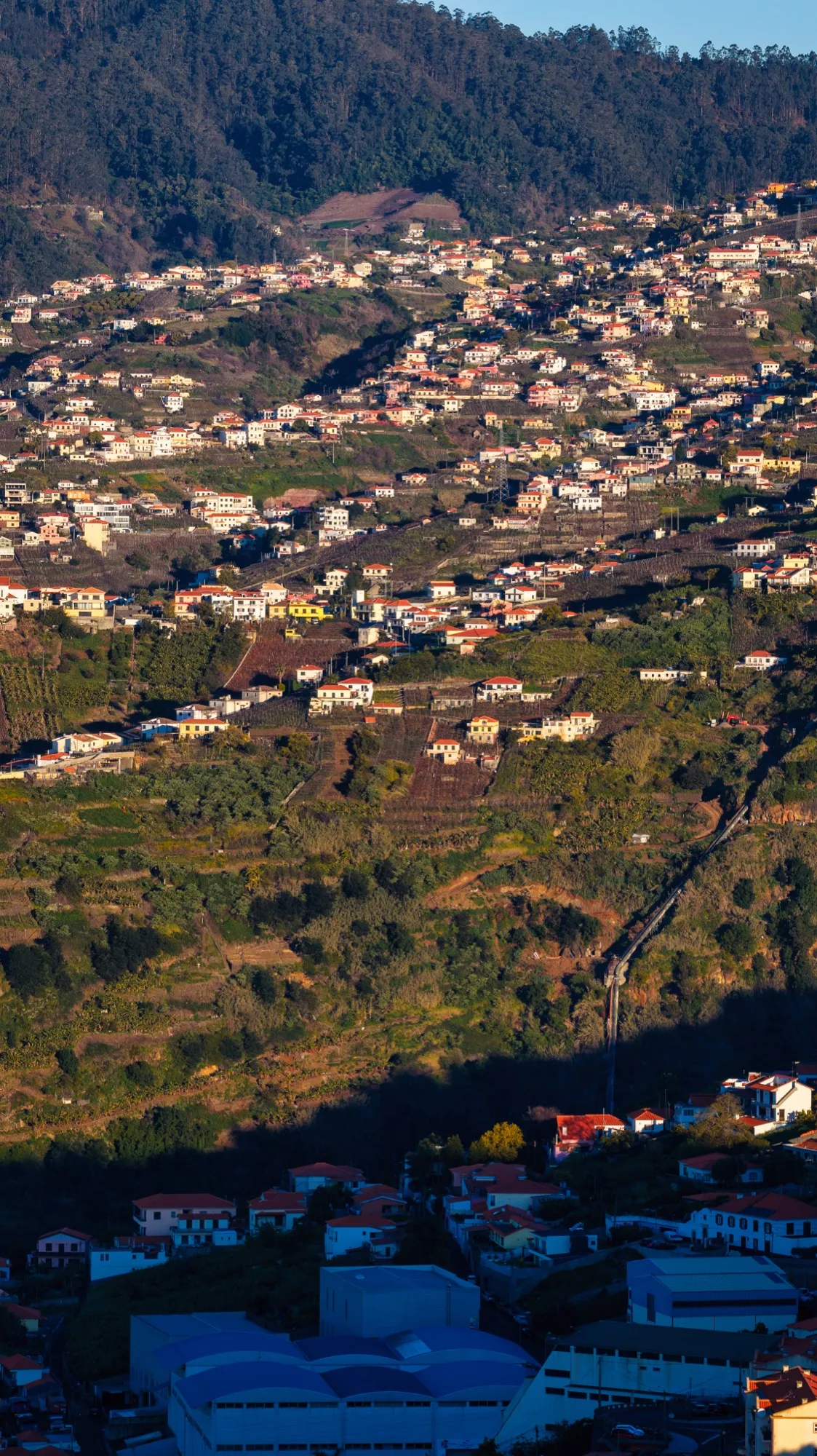 Aerial photograph — Madeira — Earthly
