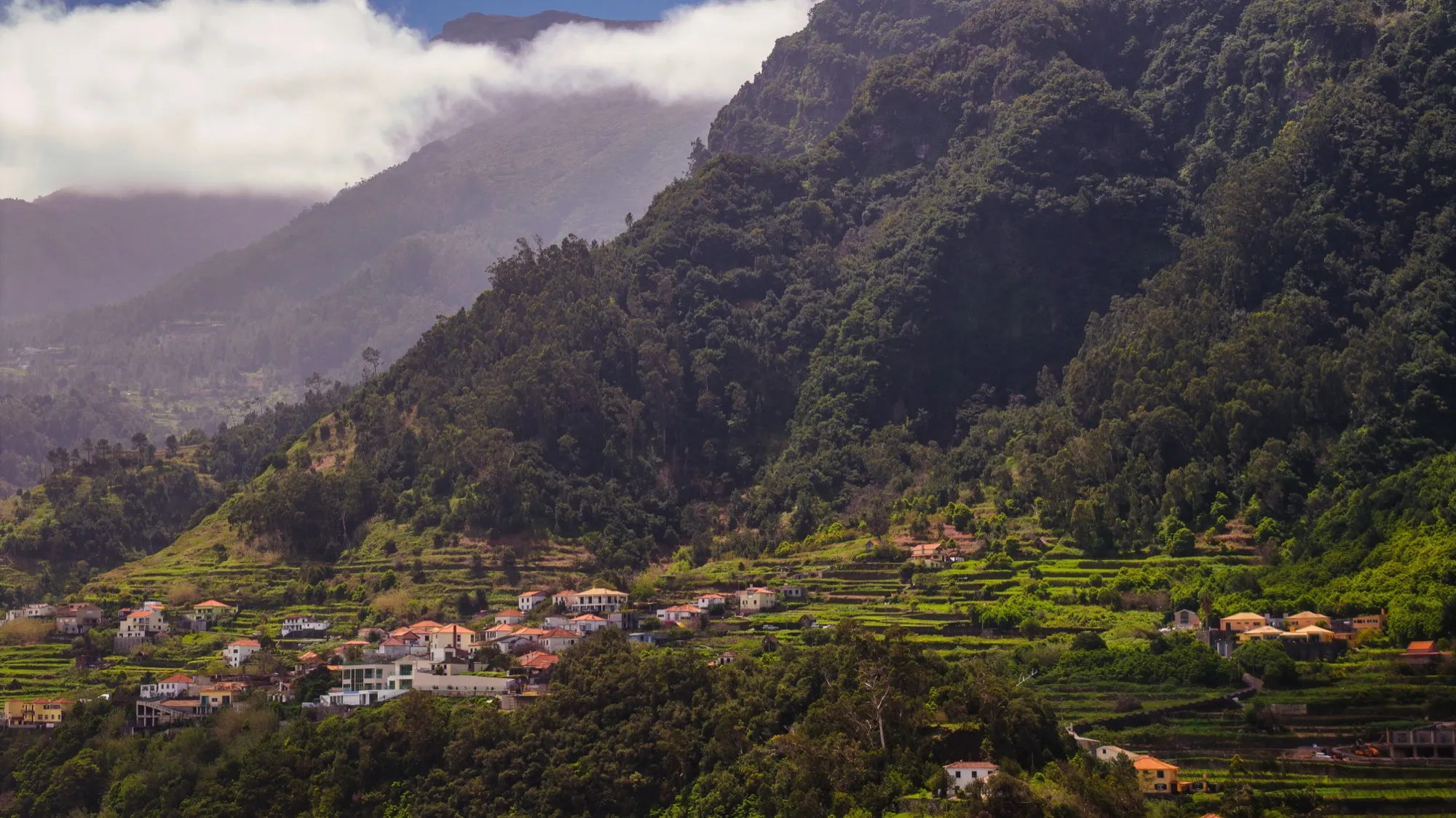 Aerial photograph — Madeira — Earthly