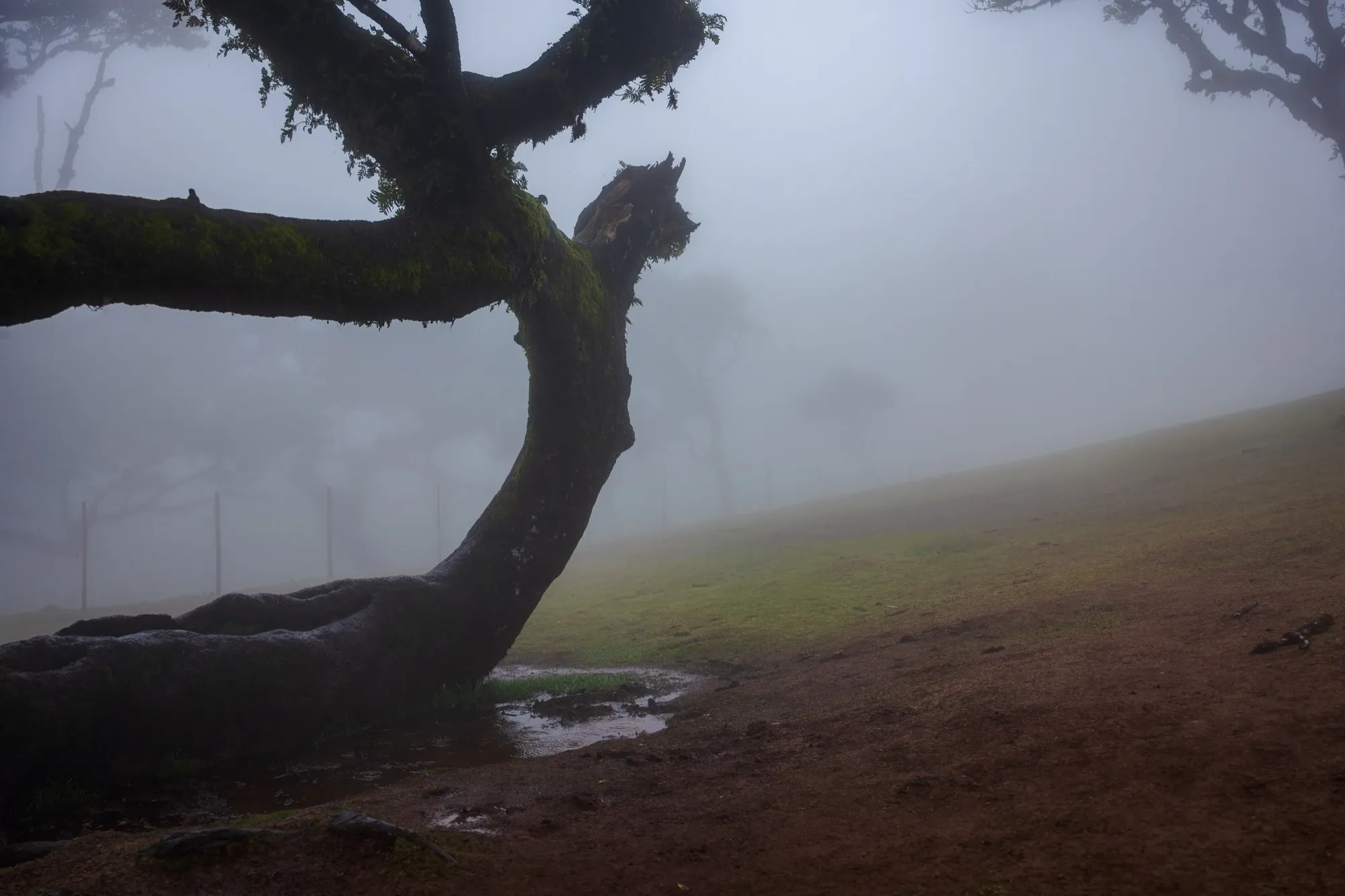 Aerial photograph — Madeira — Earthly