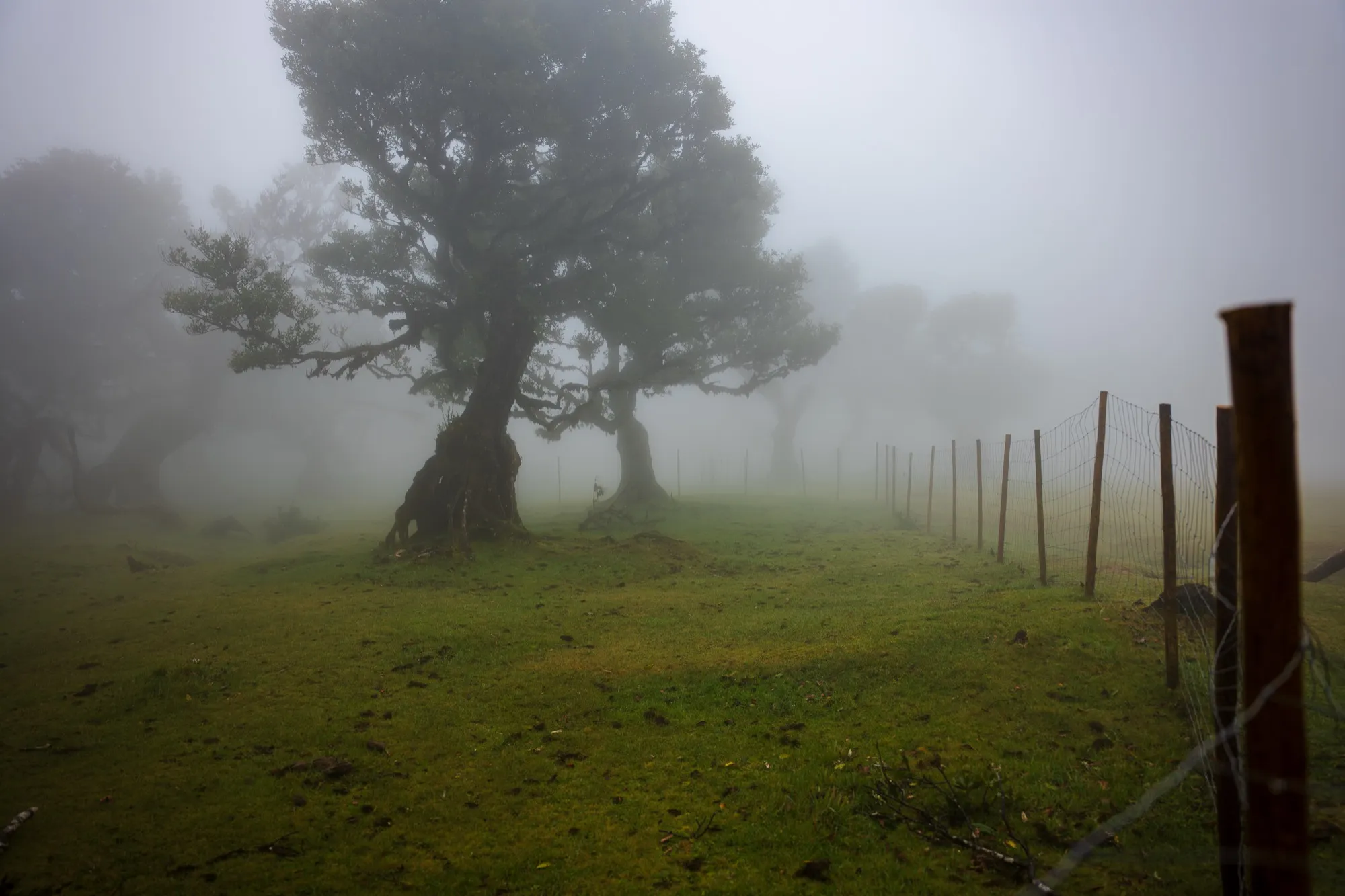 Aerial photograph — Madeira — Earthly