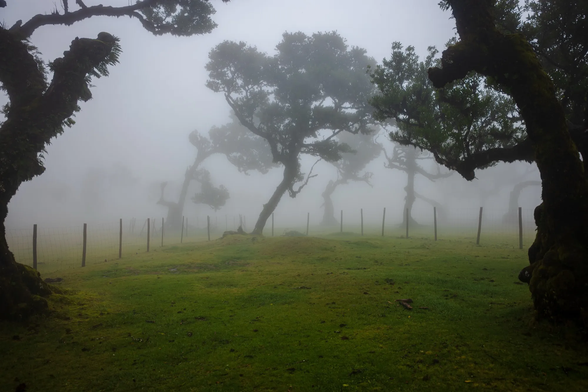 Aerial photograph — Madeira — Earthly