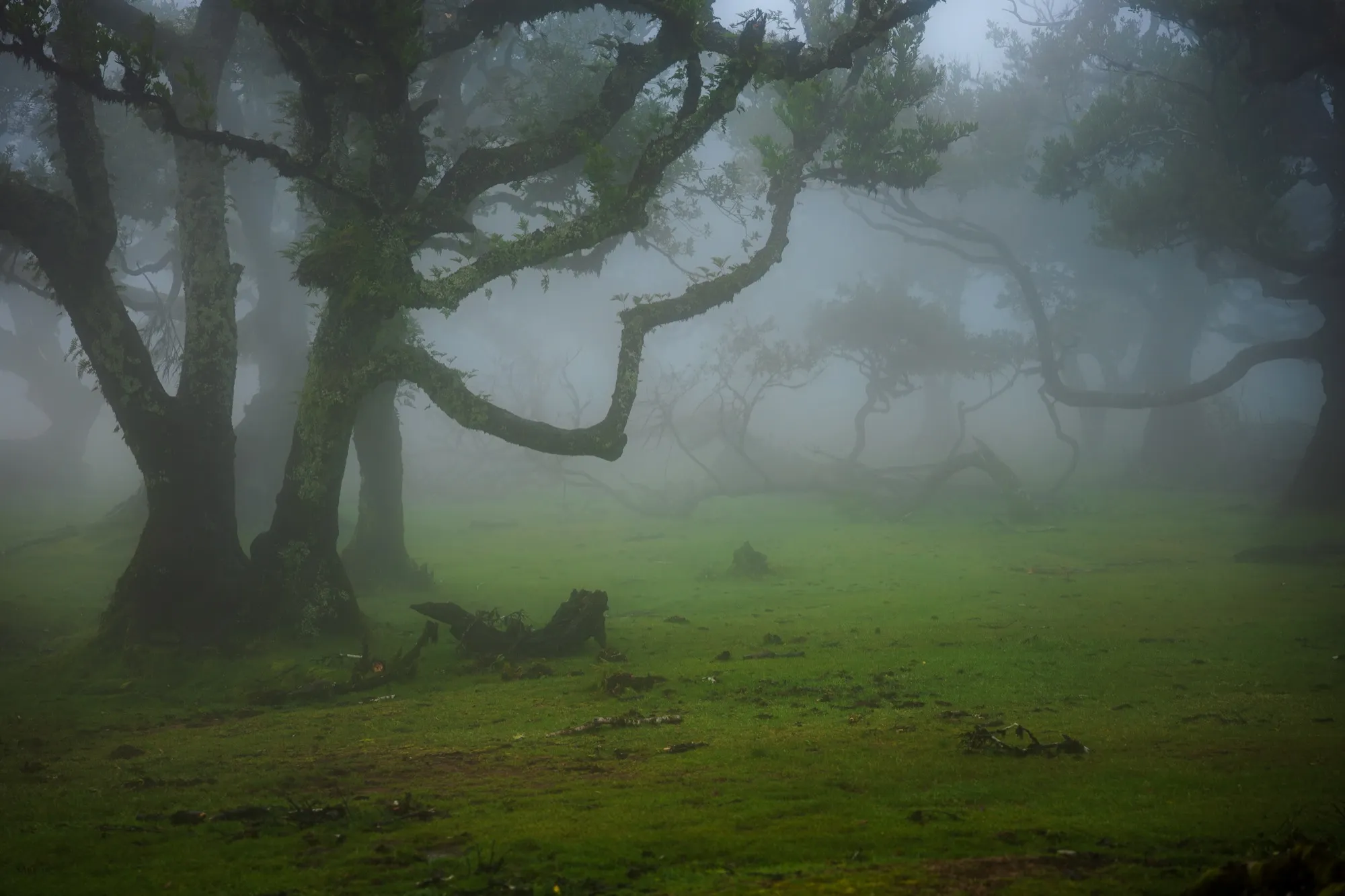 Aerial photograph — Madeira — Earthly