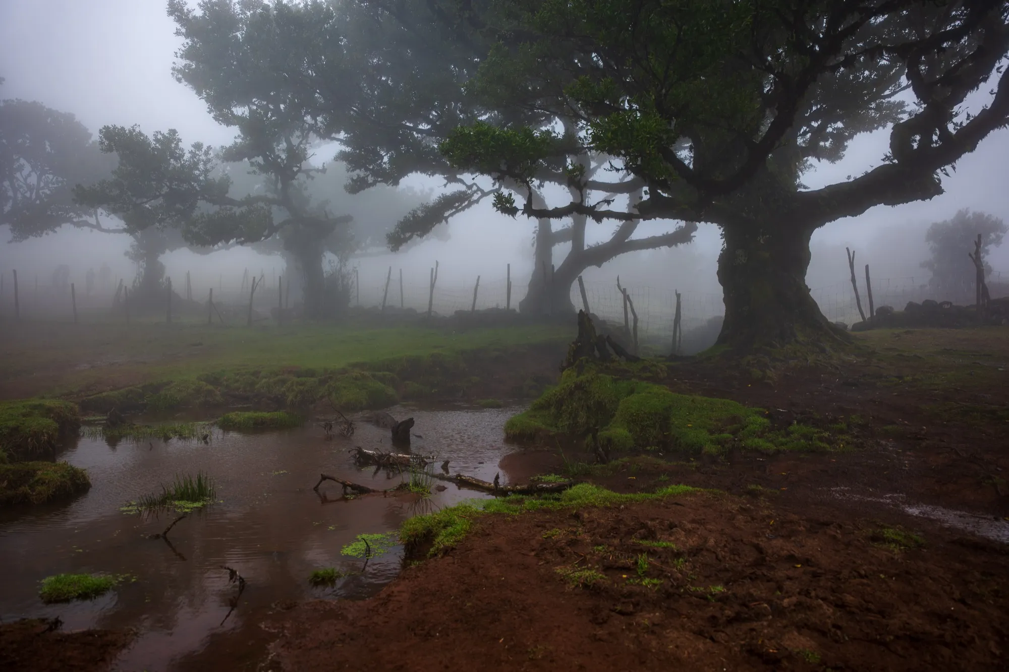 Aerial photograph — Madeira — Earthly