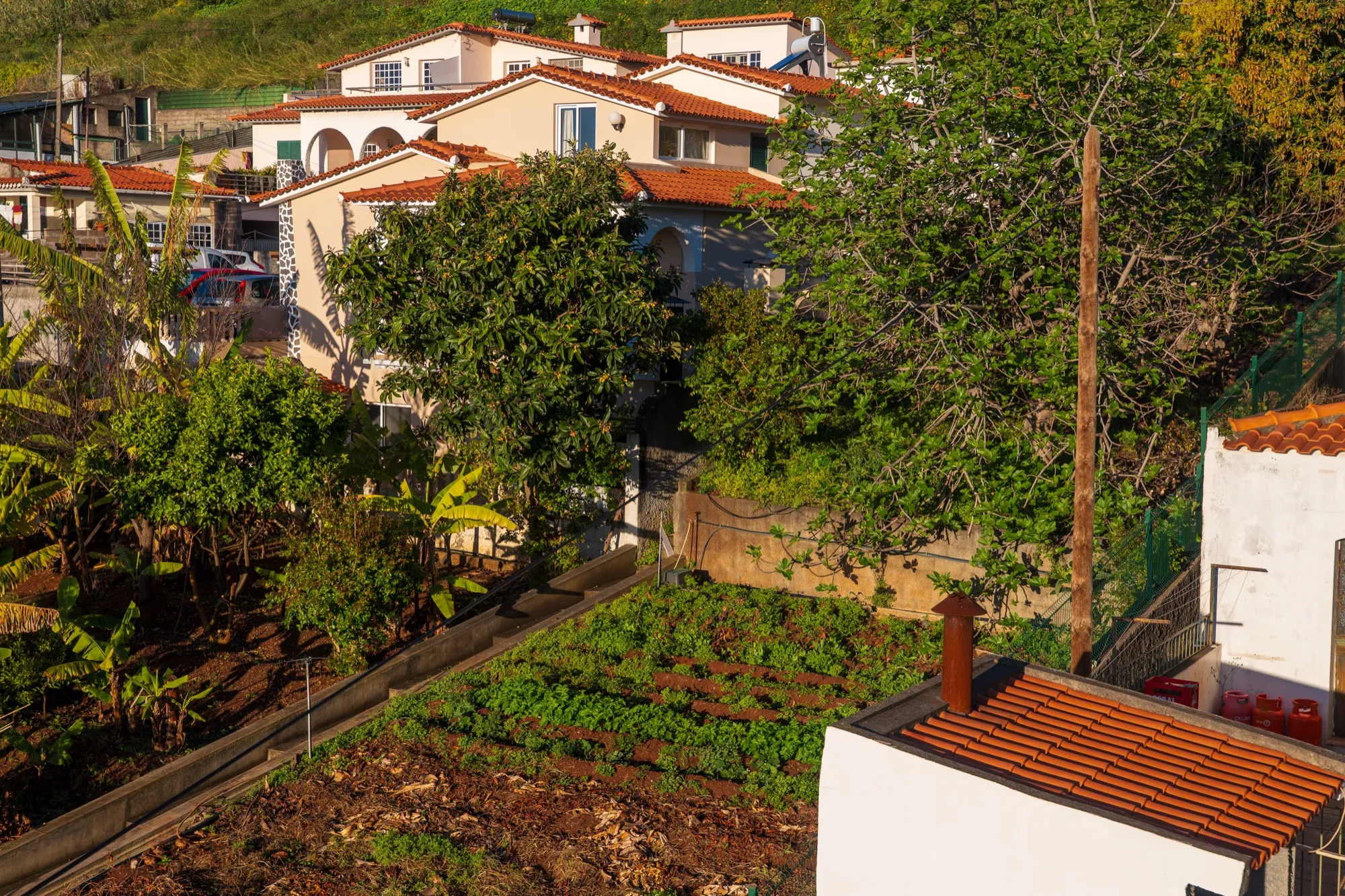 Aerial photograph — Madeira — Earthly