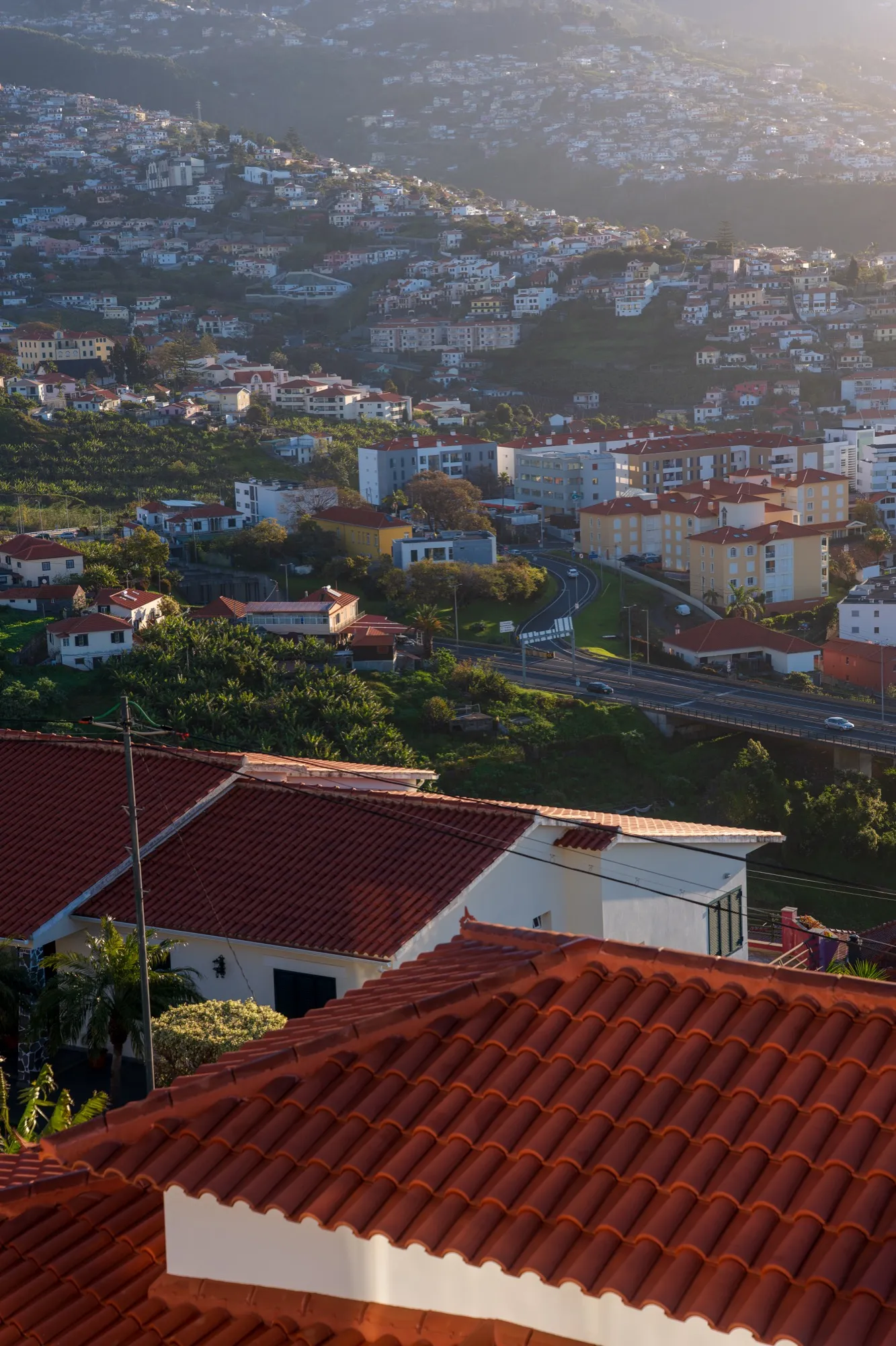 Aerial photograph — Madeira — Earthly
