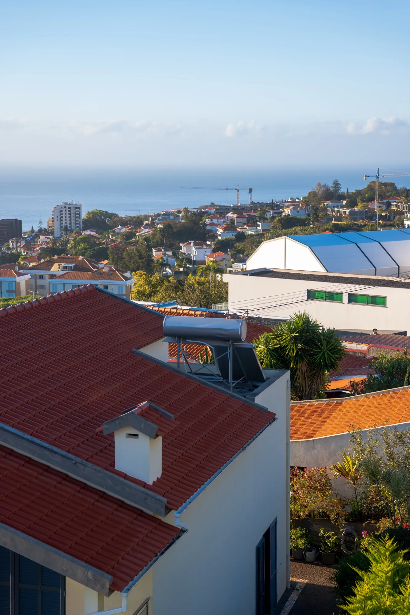 Aerial photograph — Madeira — Earthly