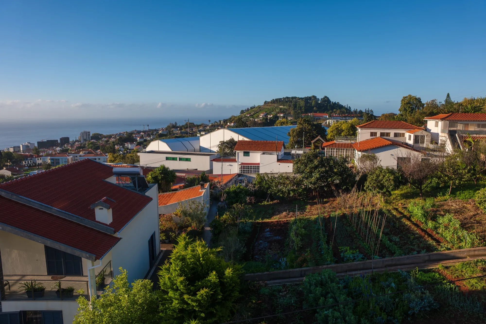 Aerial photograph — Madeira — Earthly