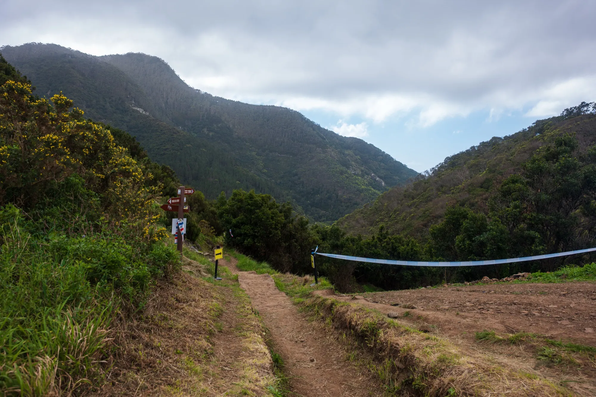 Aerial photograph — Madeira — Earthly