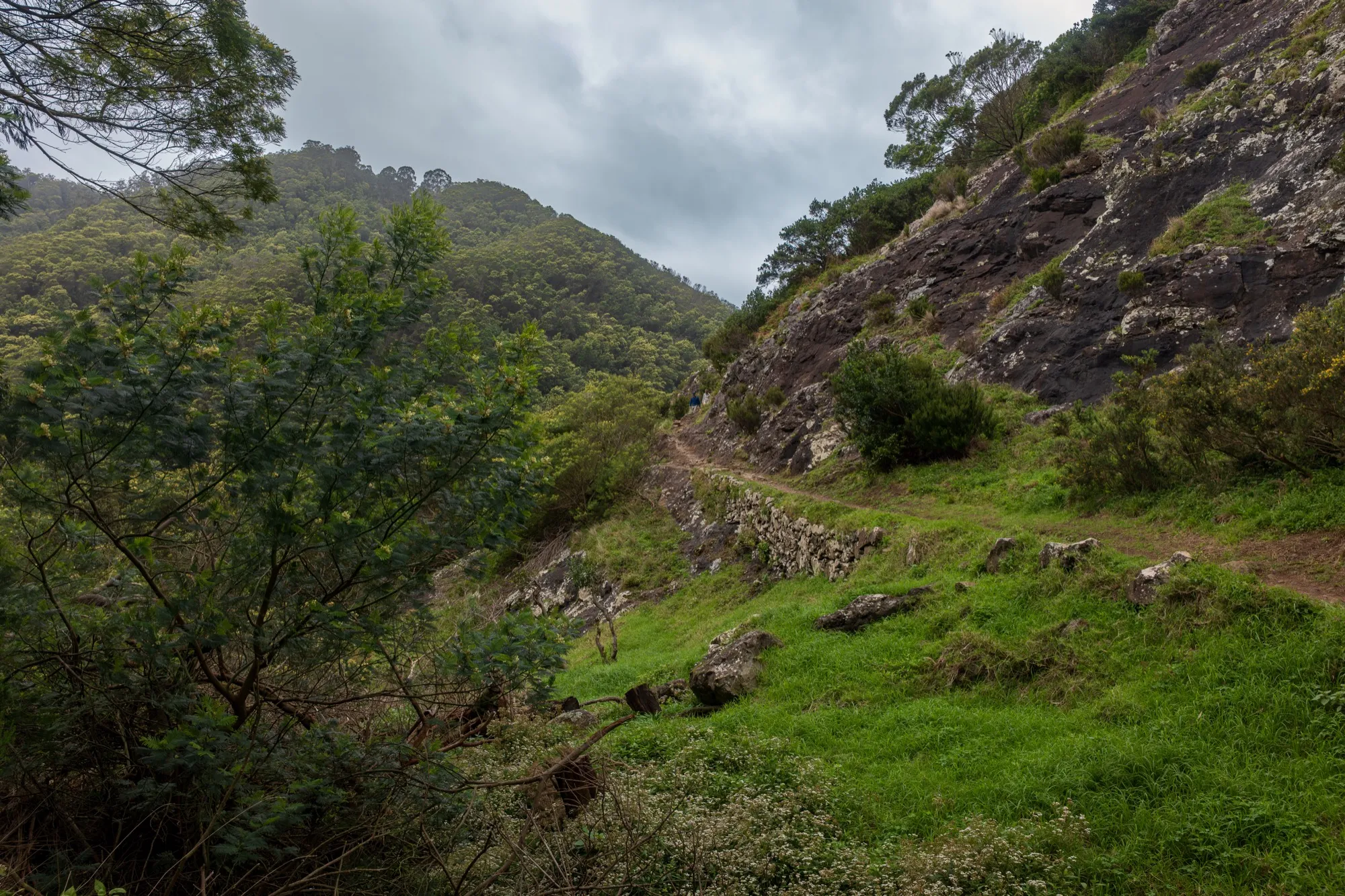 Aerial photograph — Madeira — Earthly