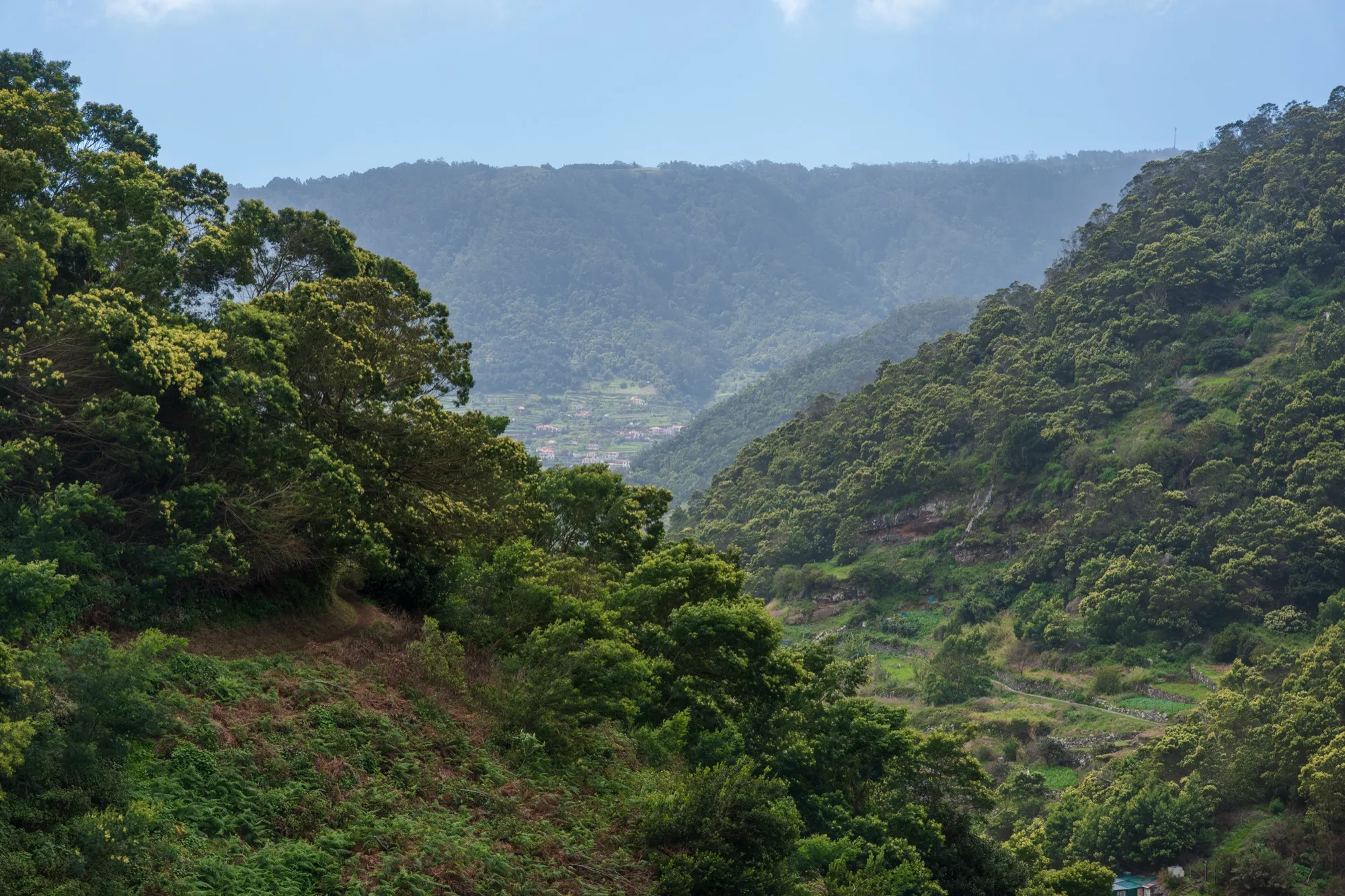 Aerial photograph — Madeira — Earthly