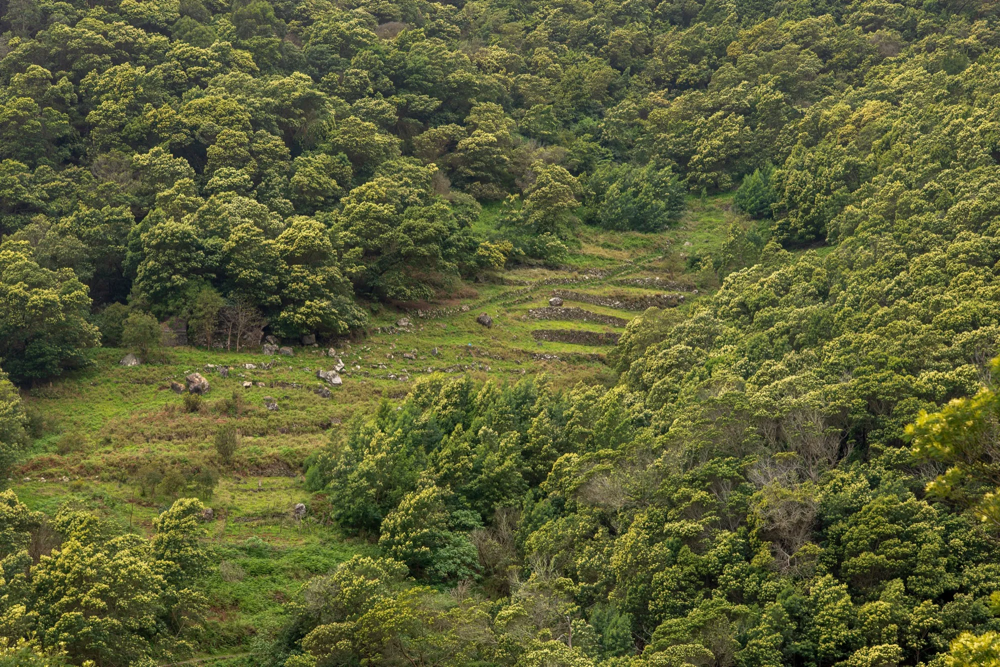 Aerial photograph — Madeira — Earthly