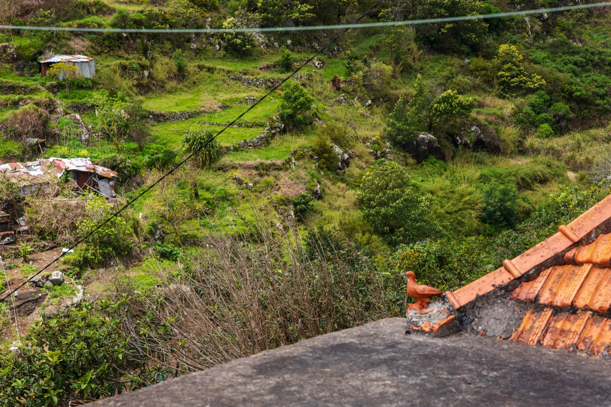 Aerial photograph — Madeira — Earthly