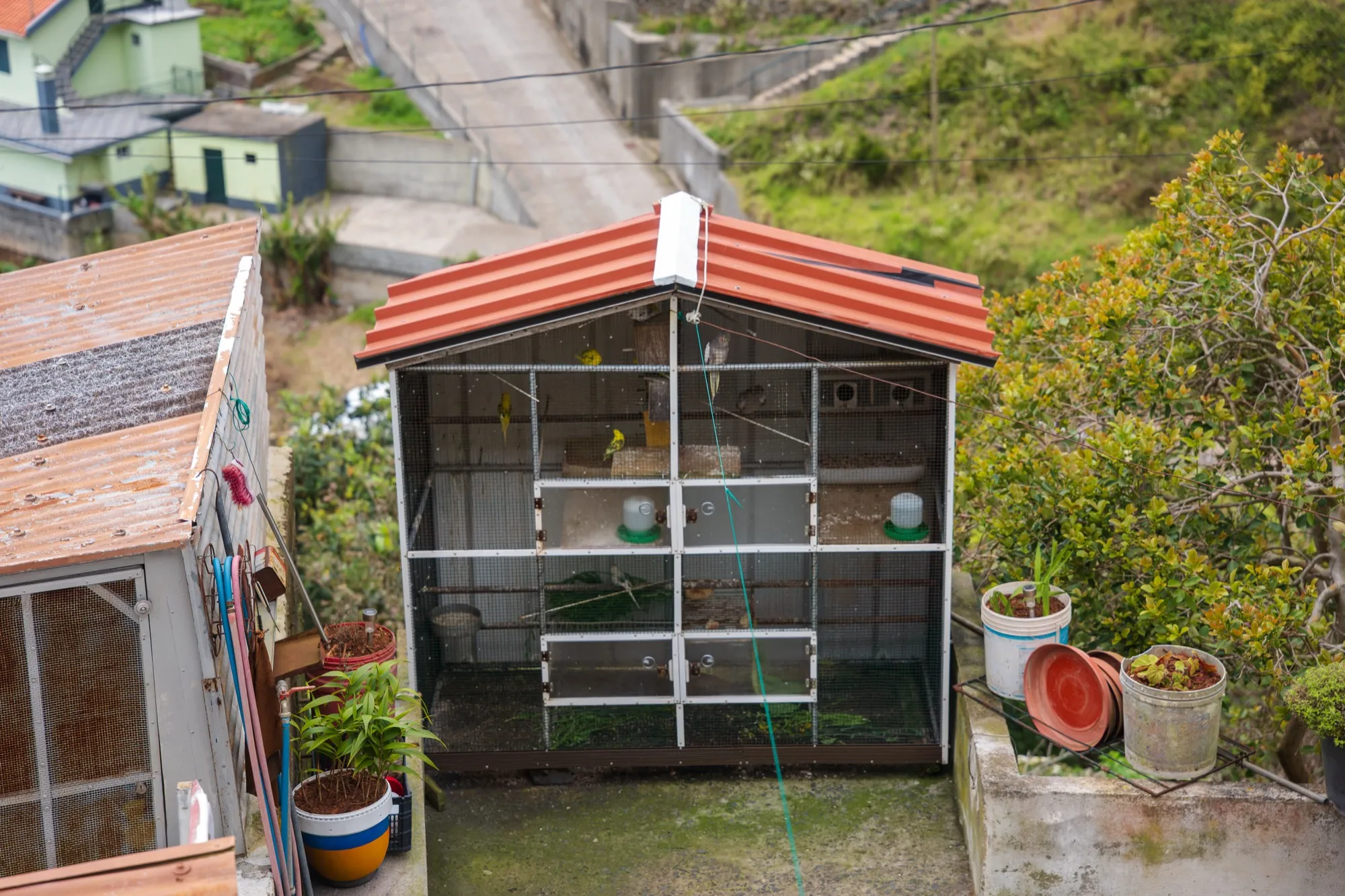 Aerial photograph — Madeira — Earthly